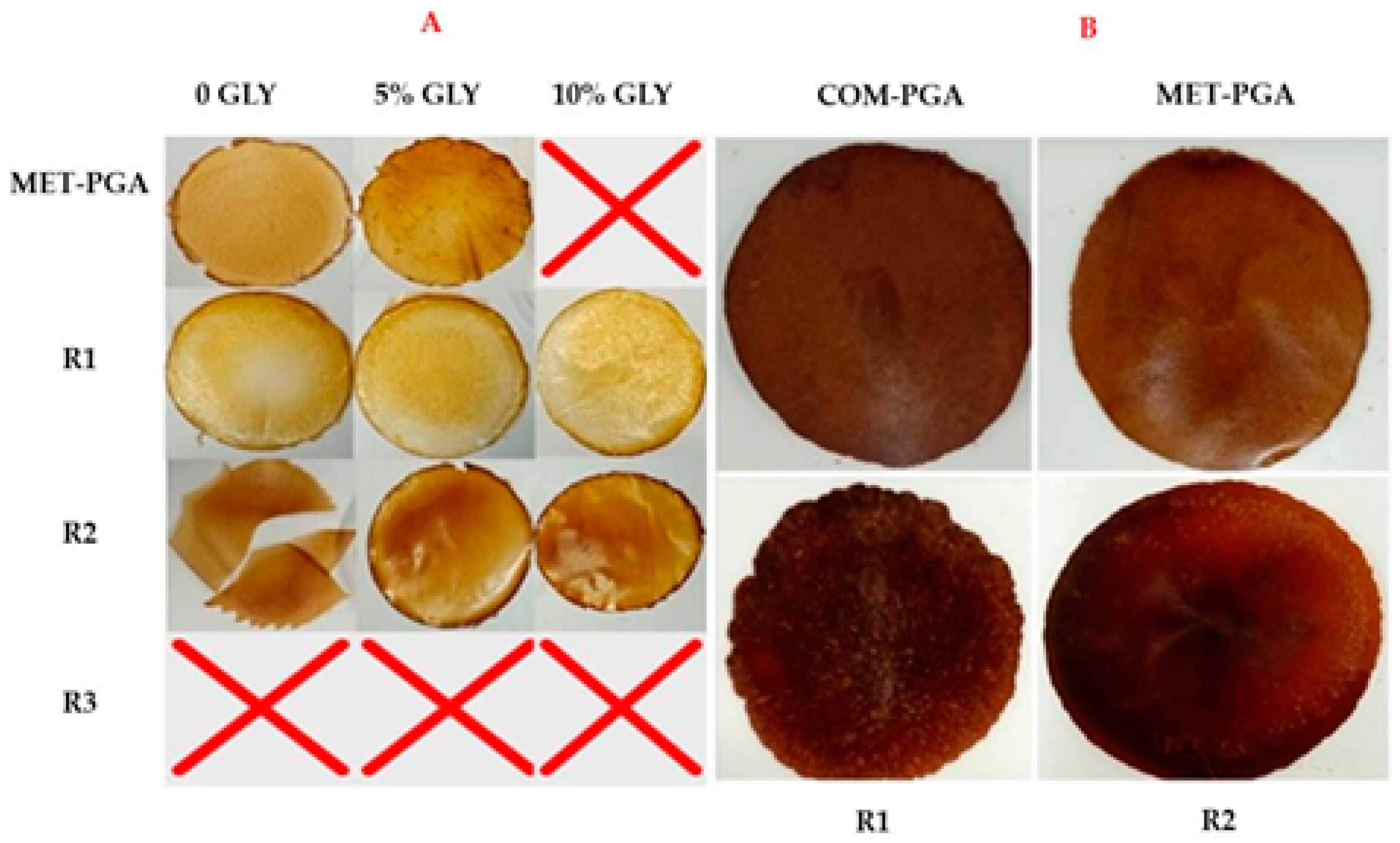 Polymers 14 01190 g005