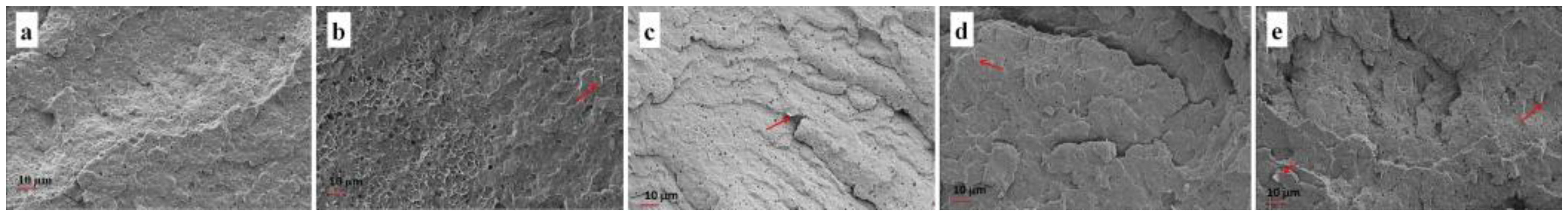 Polymers 14 01192 g004