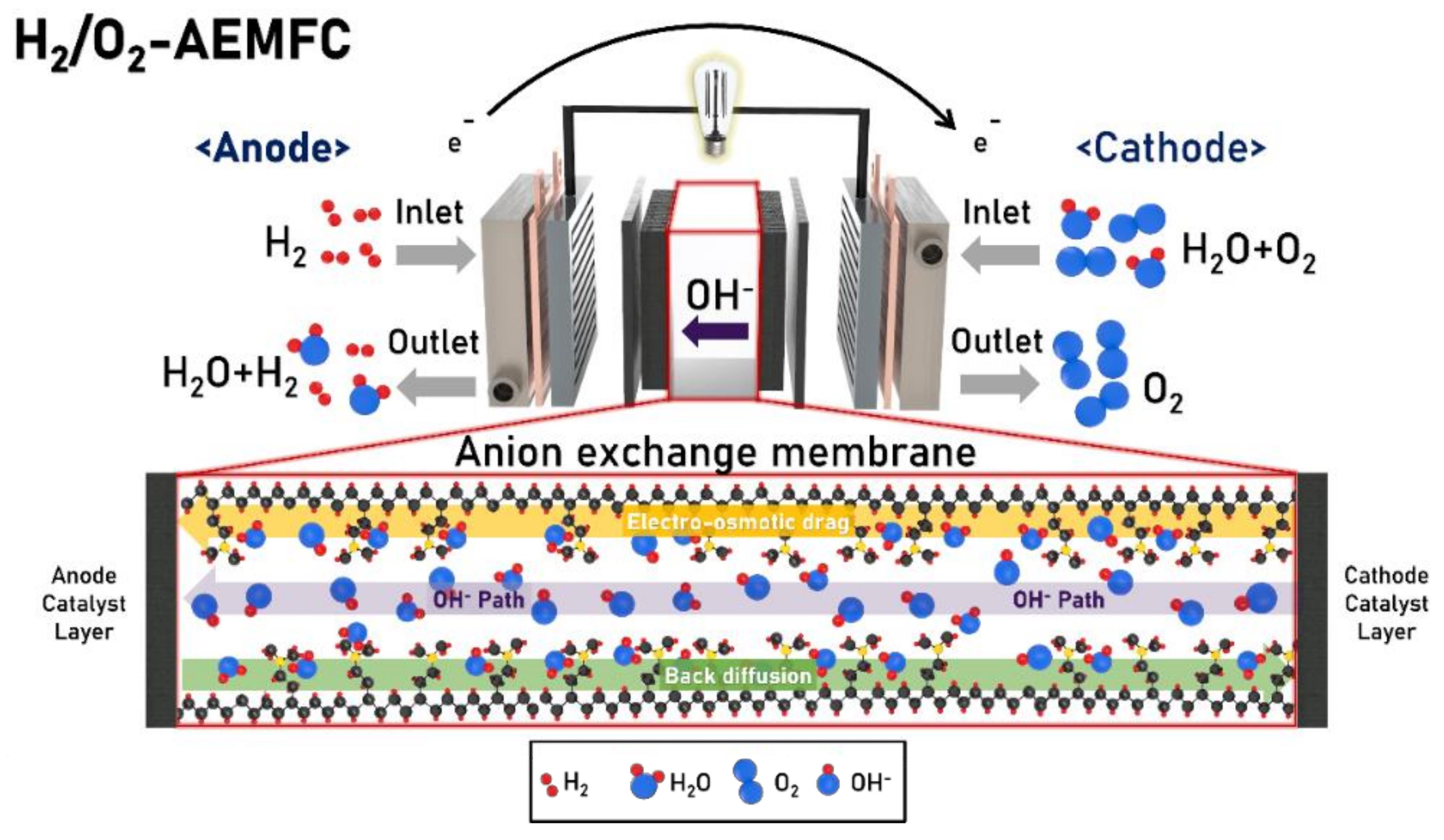 Polymers 14 01197 g002