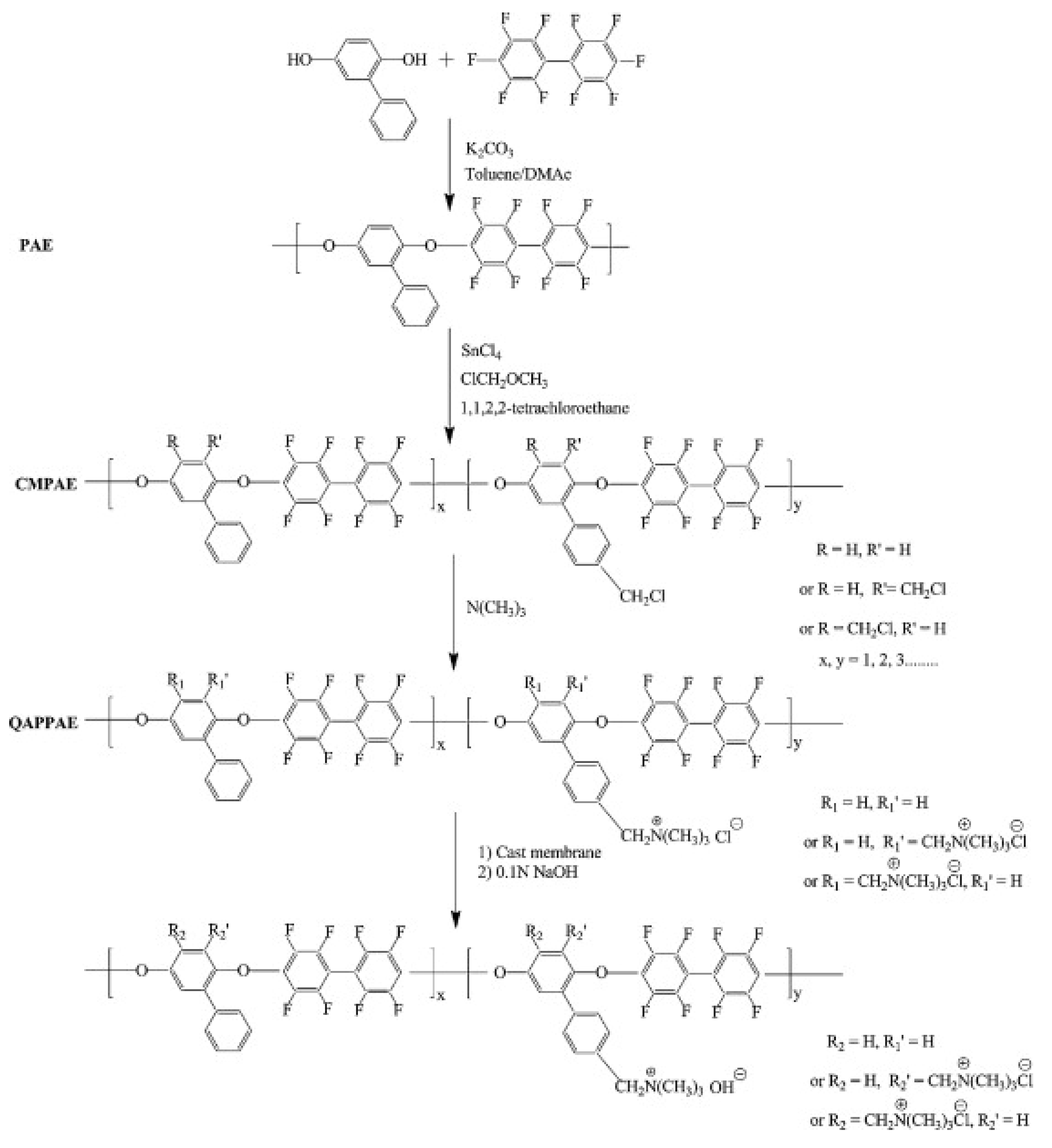 Polymers 14 01197 g003