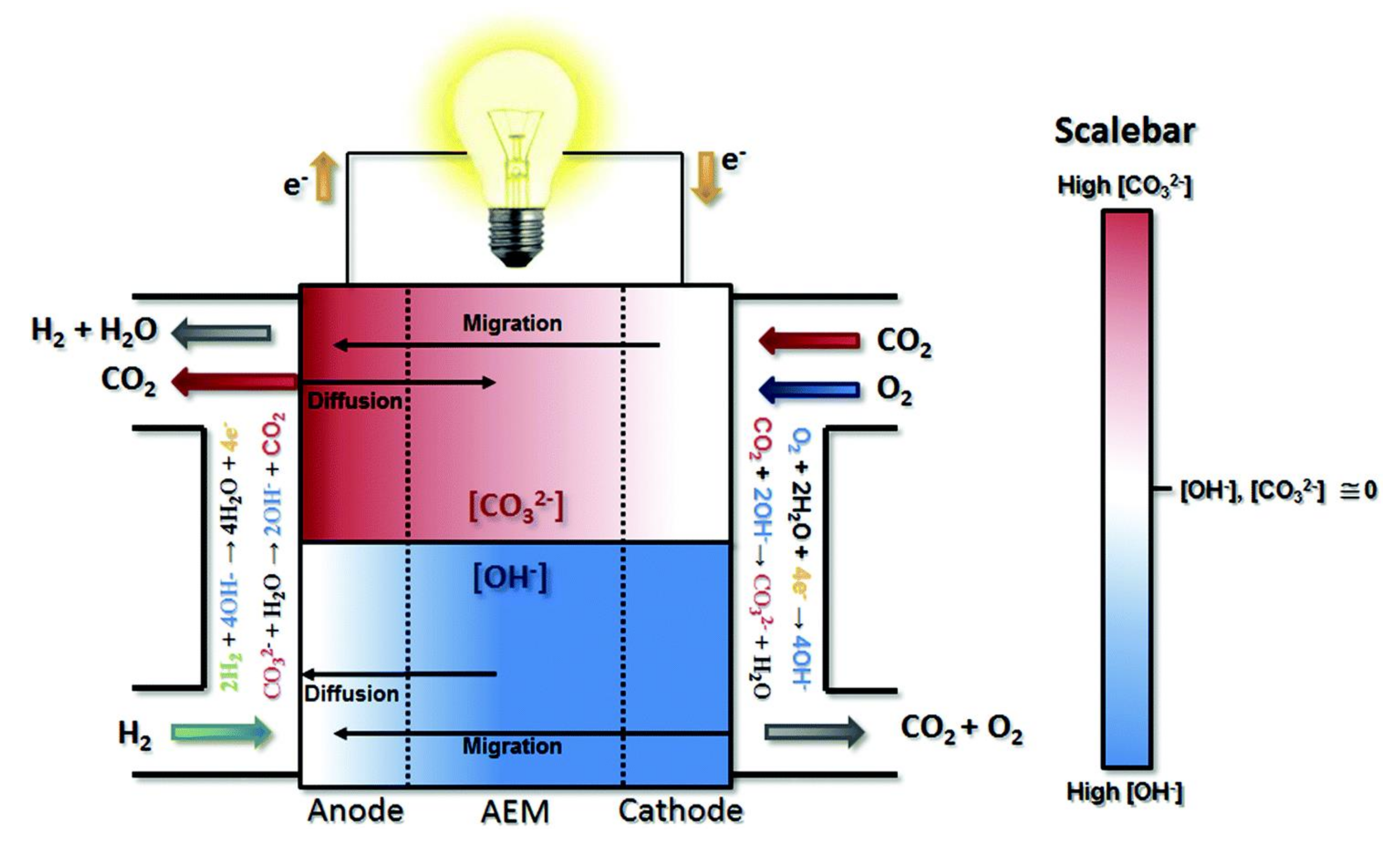Polymers 14 01197 g005