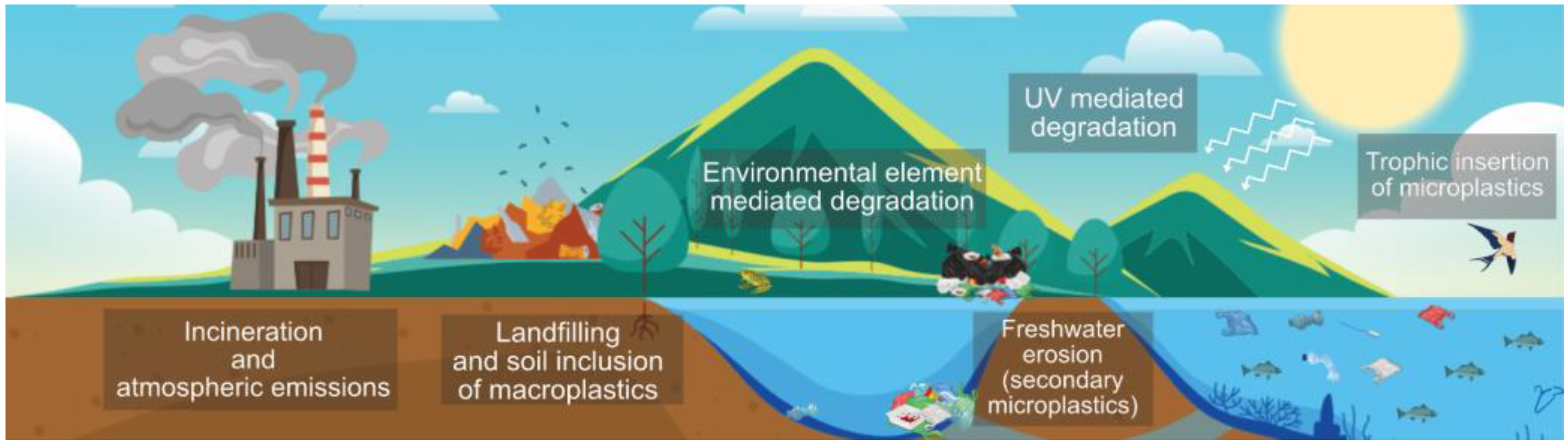 Polymers 14 01203 g002