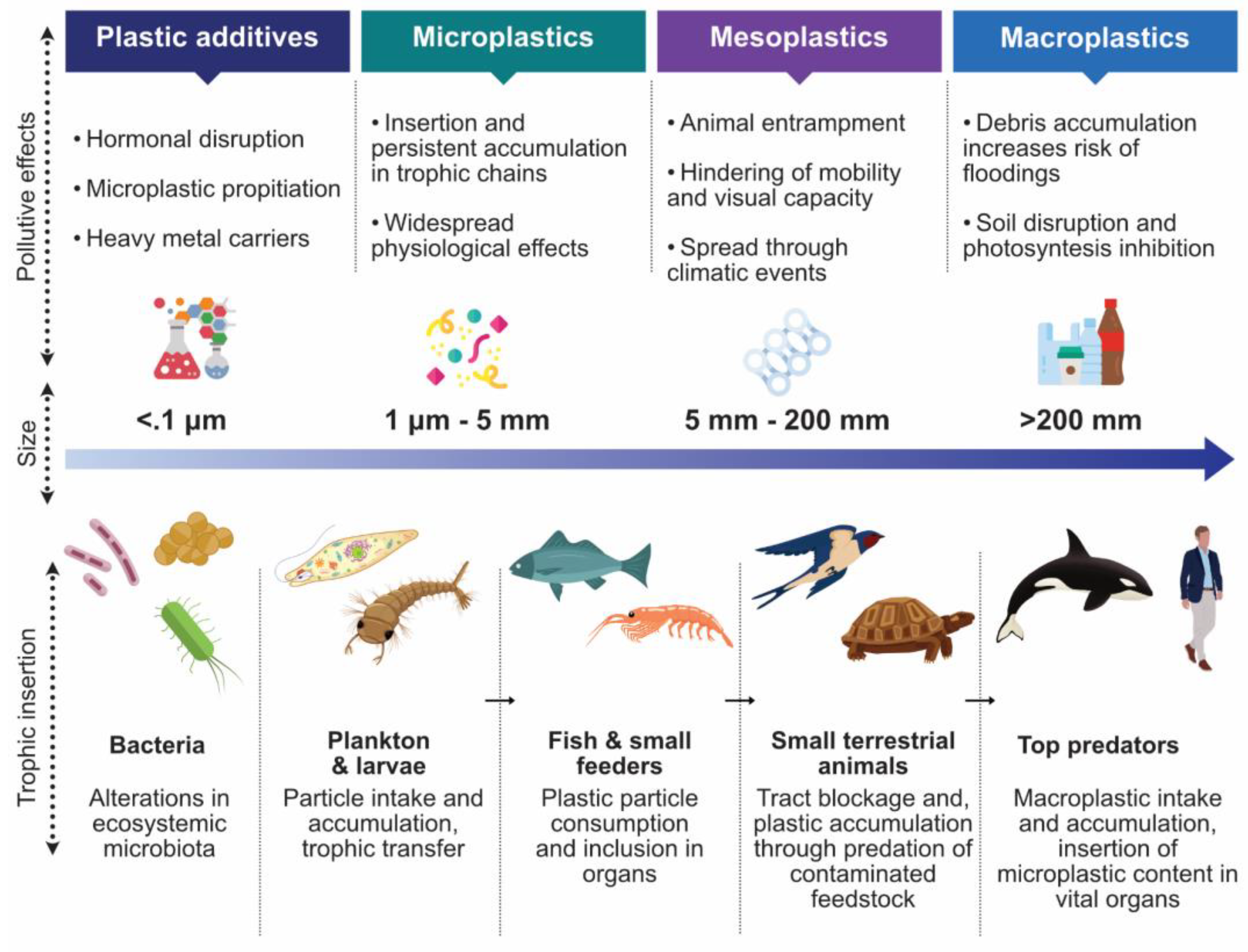 Polymers 14 01203 g003