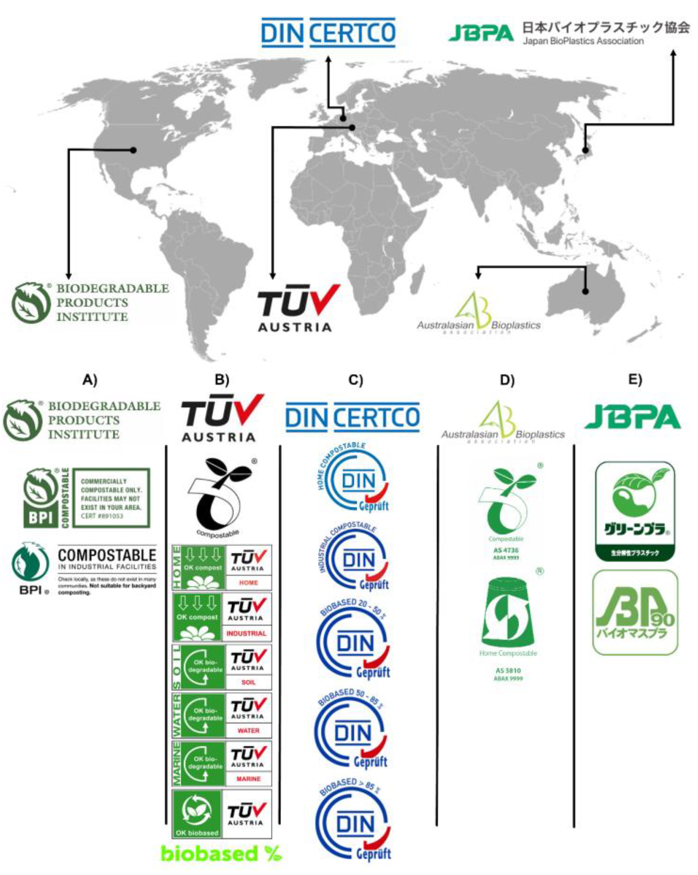 Polymers 14 01203 g006
