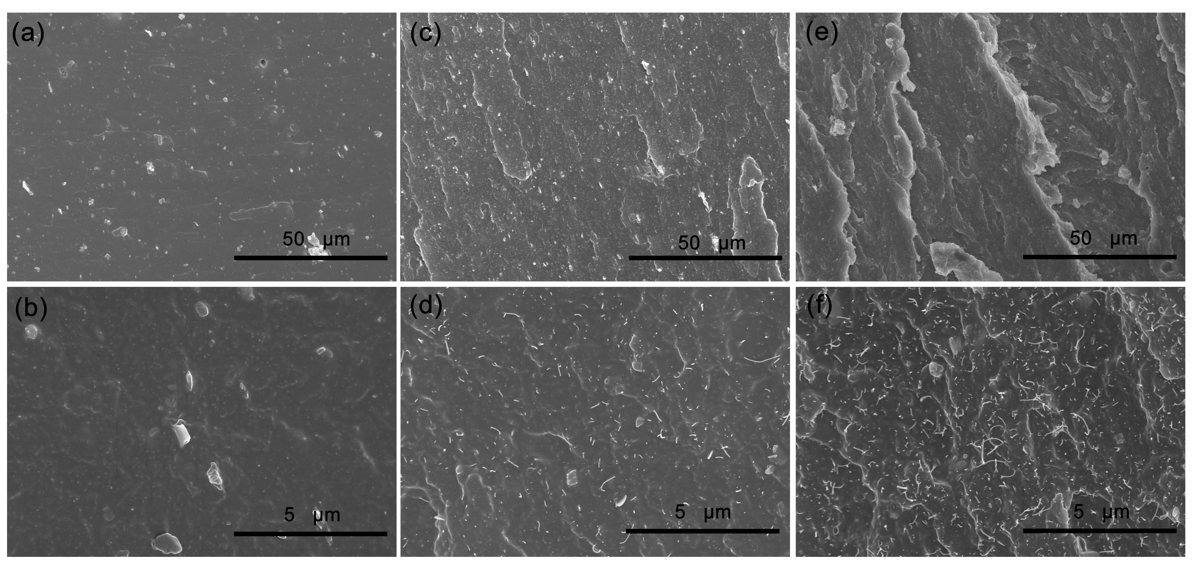 Polymers 14 01205 g006