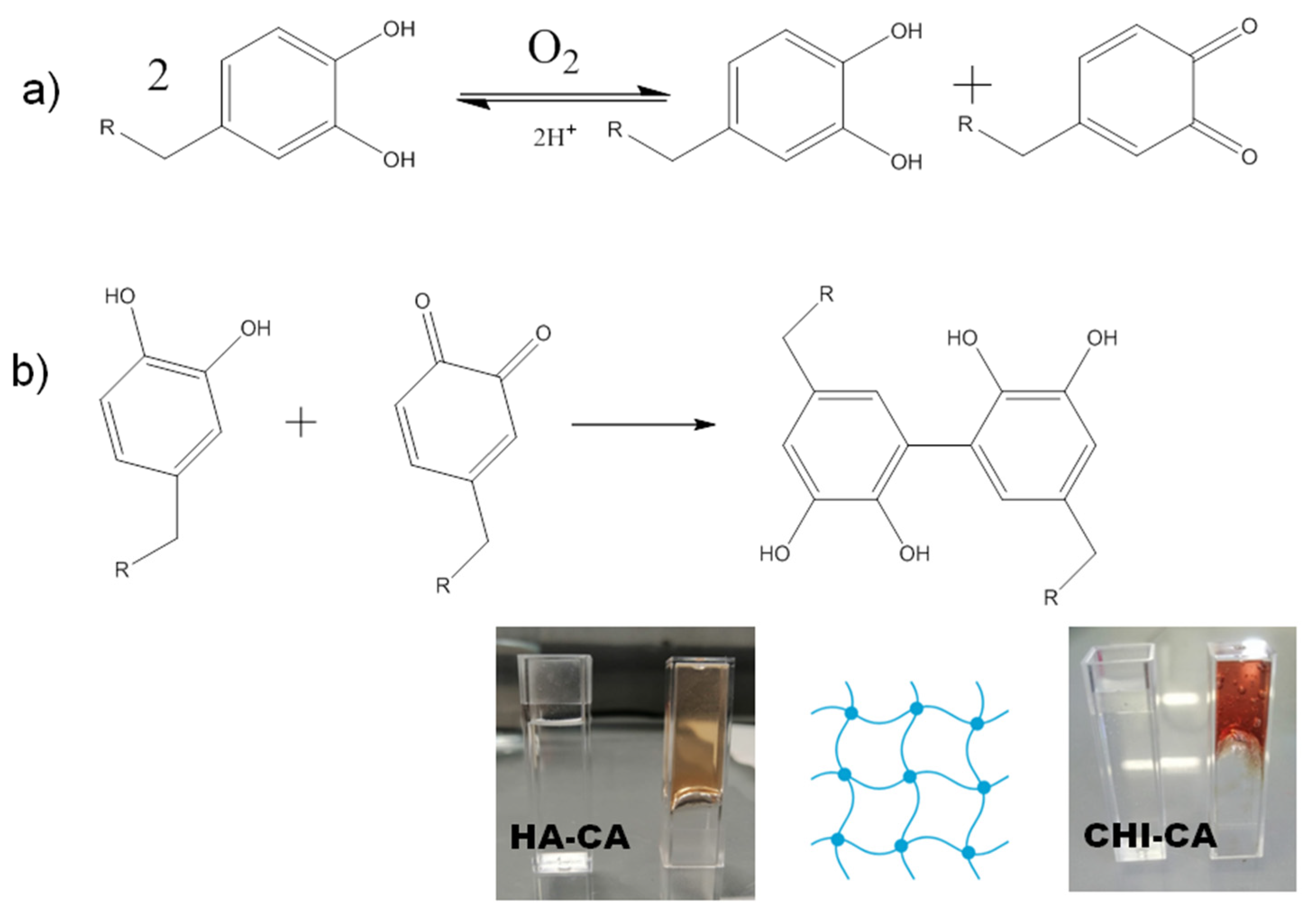 Polymers 14 01209 g003