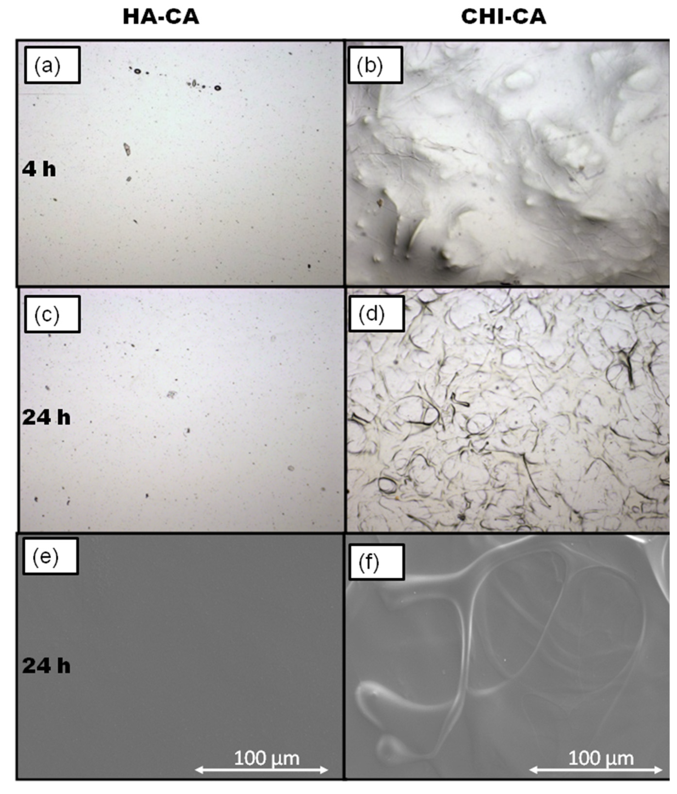 Polymers 14 01209 g011
