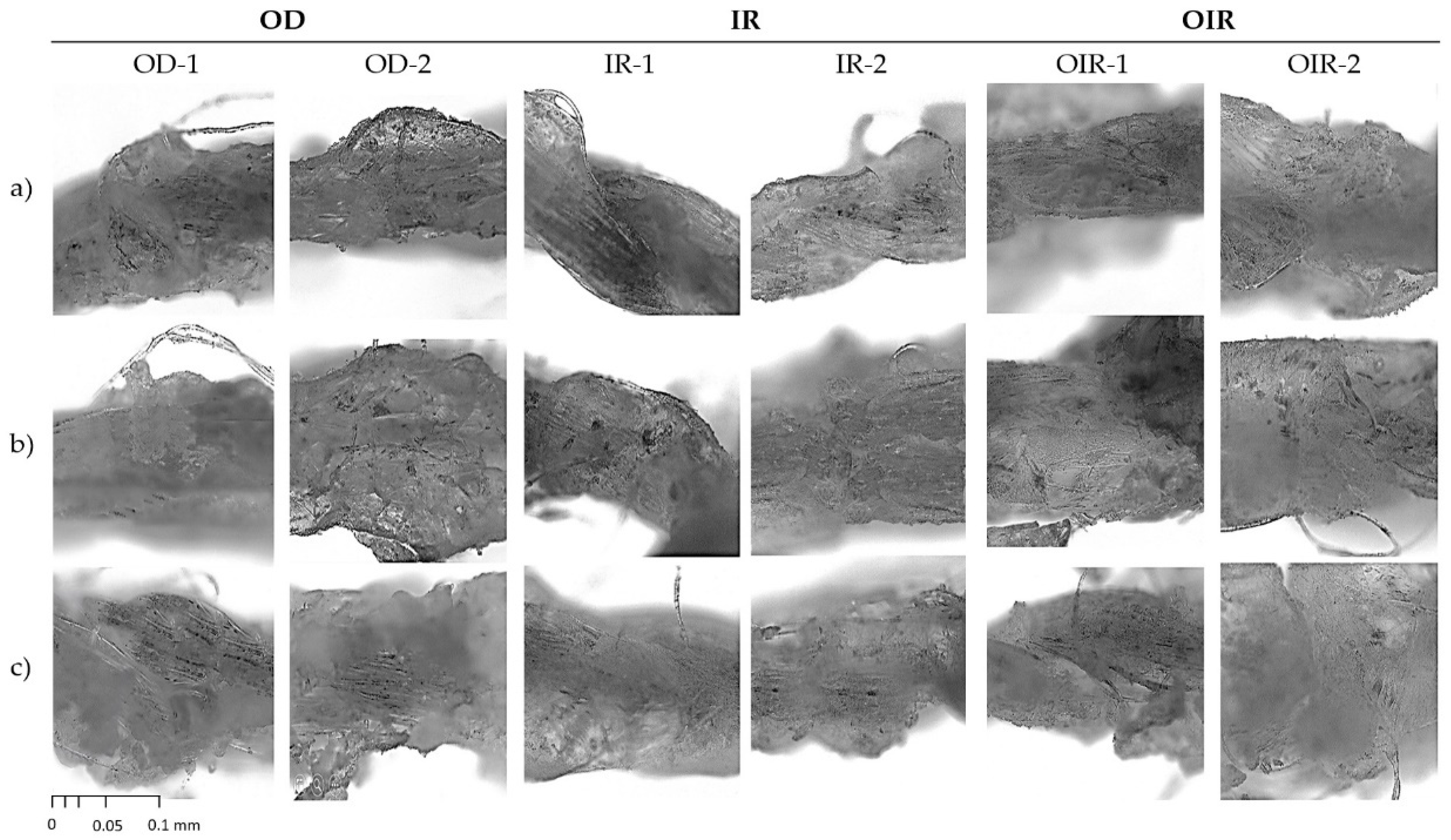 Polymers 14 01217 g005