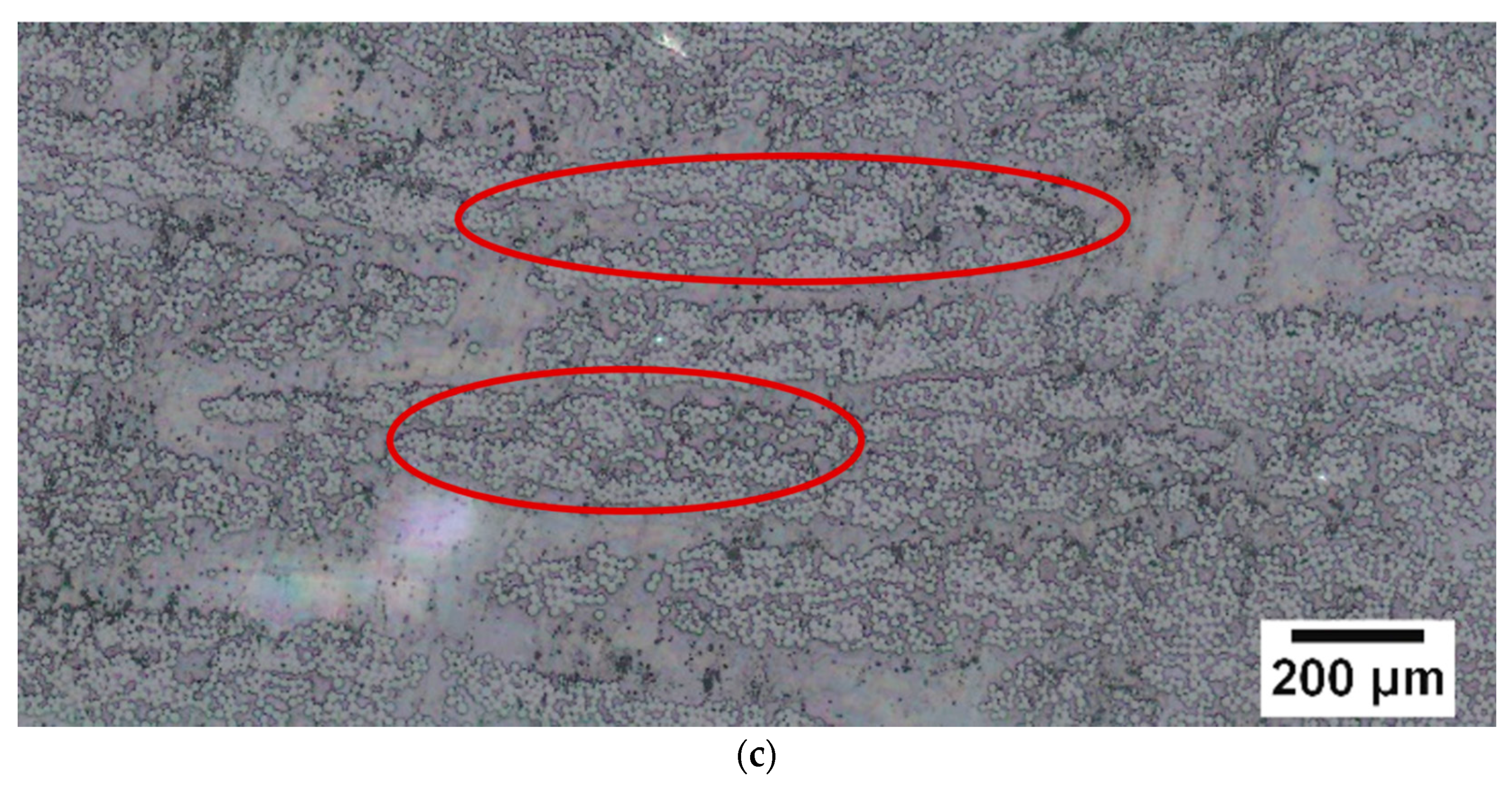 Polymers 14 01220 g003b
