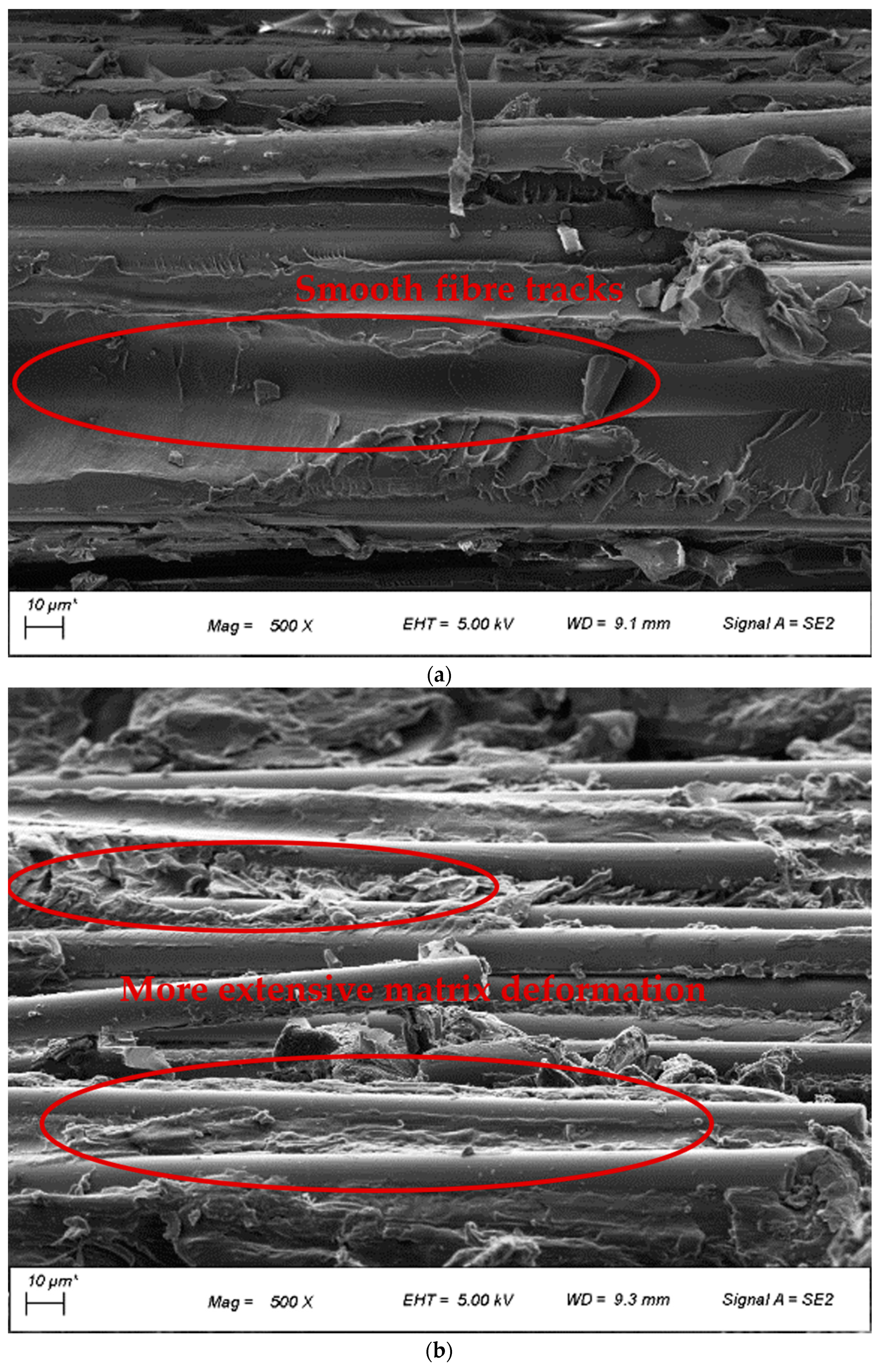 Polymers 14 01220 g004a