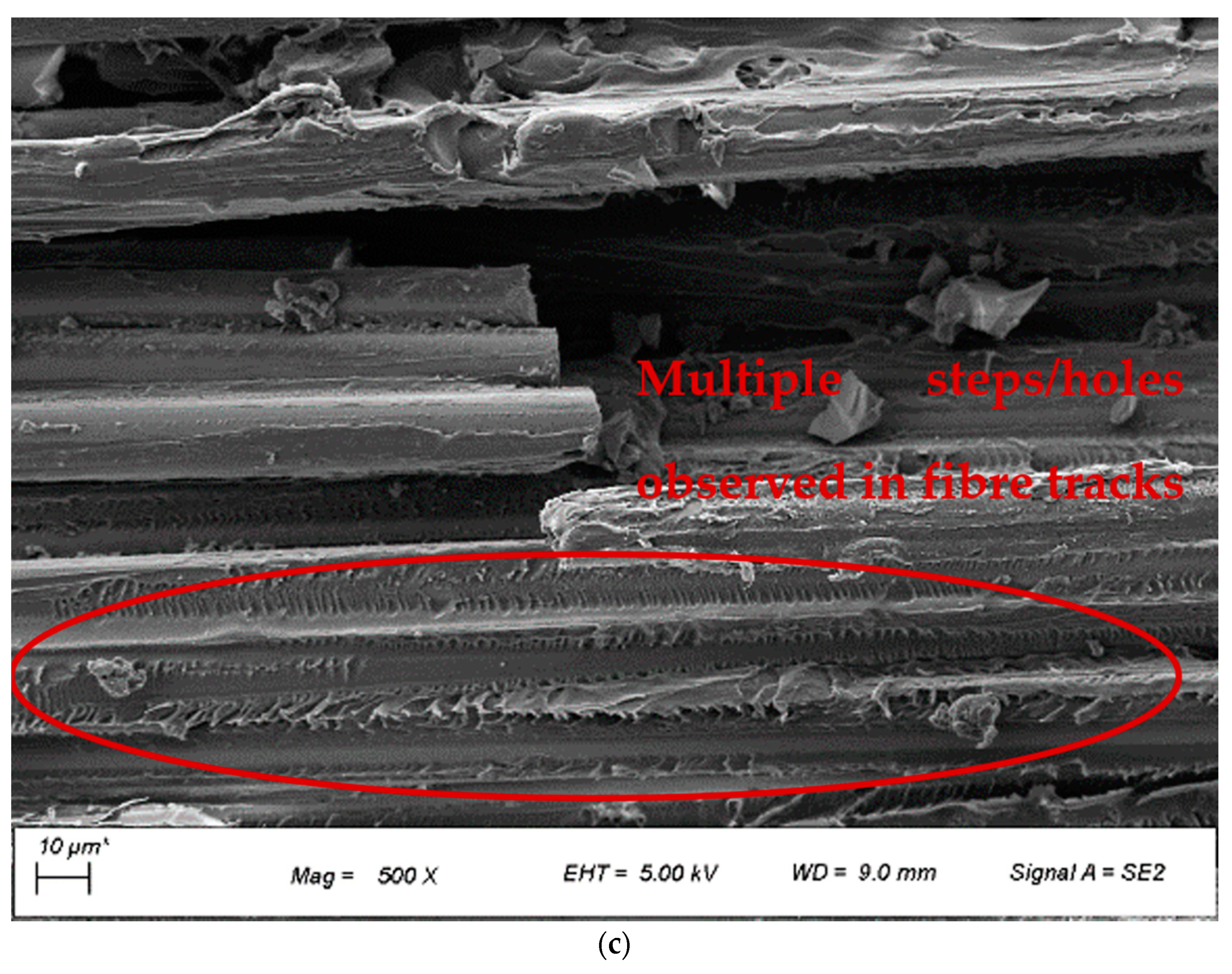 Polymers 14 01220 g004b