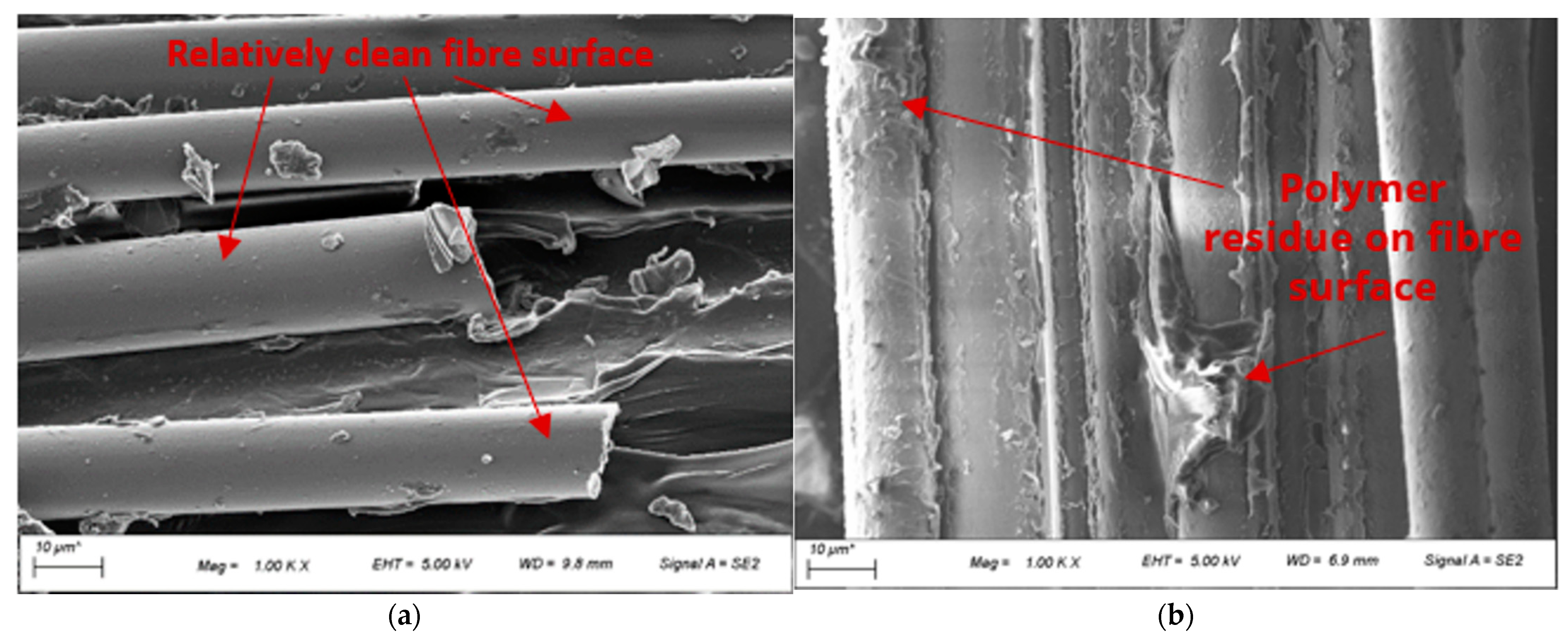 Polymers 14 01220 g007