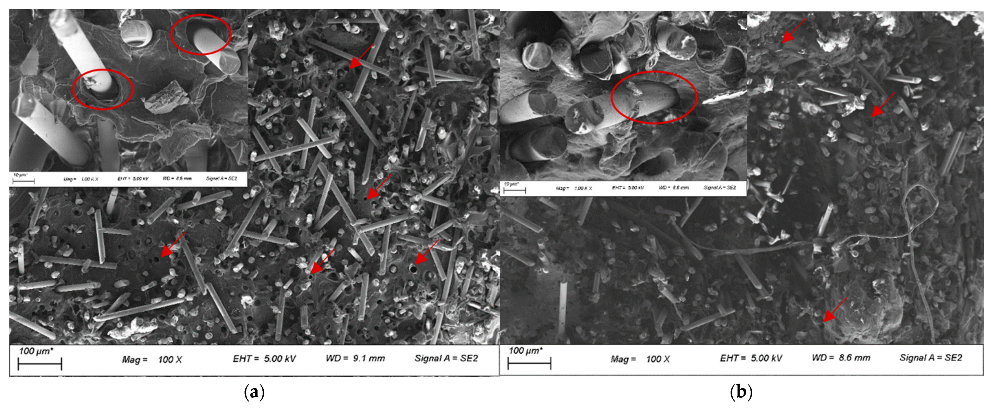 Polymers 14 01220 g009