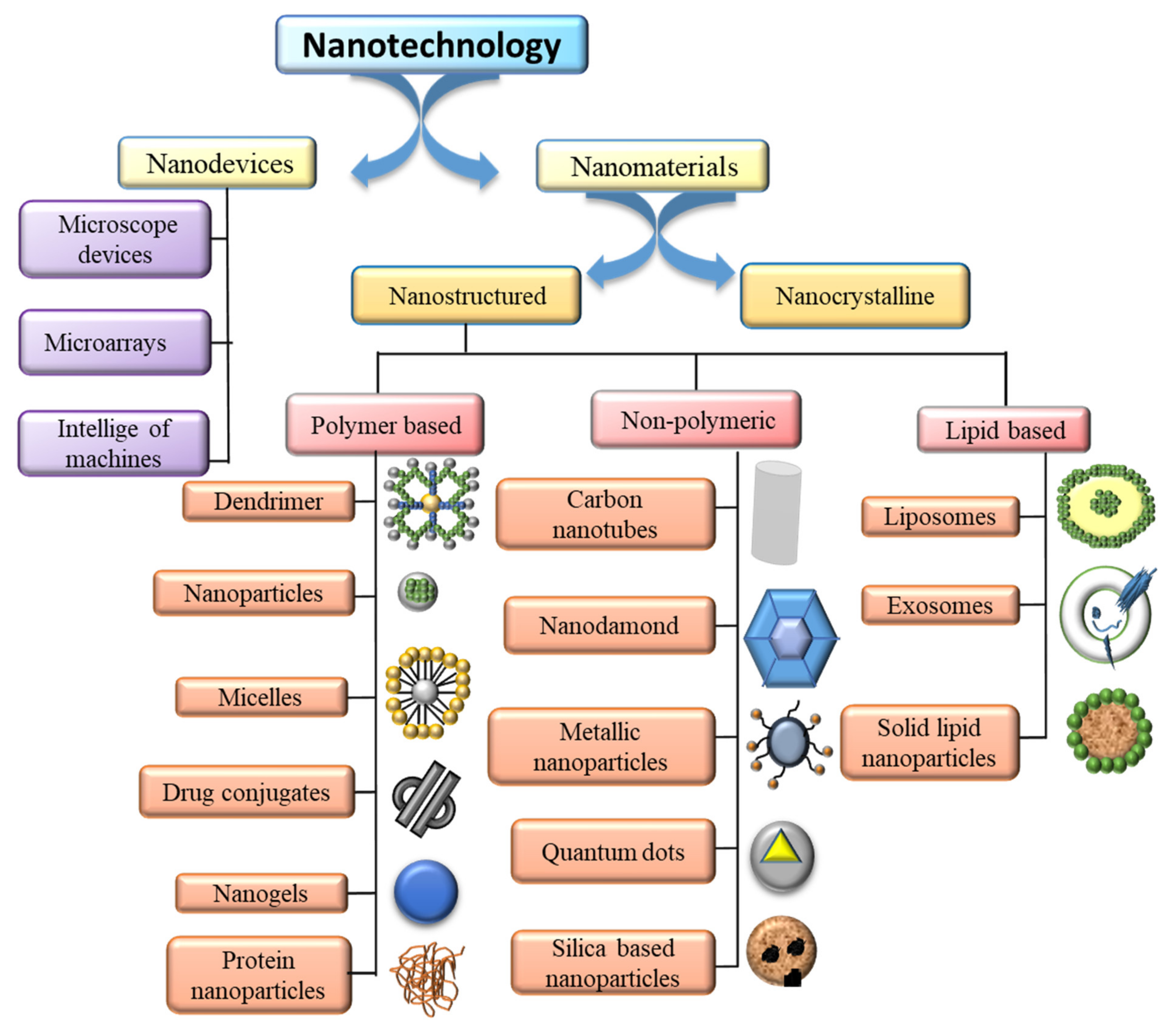 Polymers 14 01221 g001