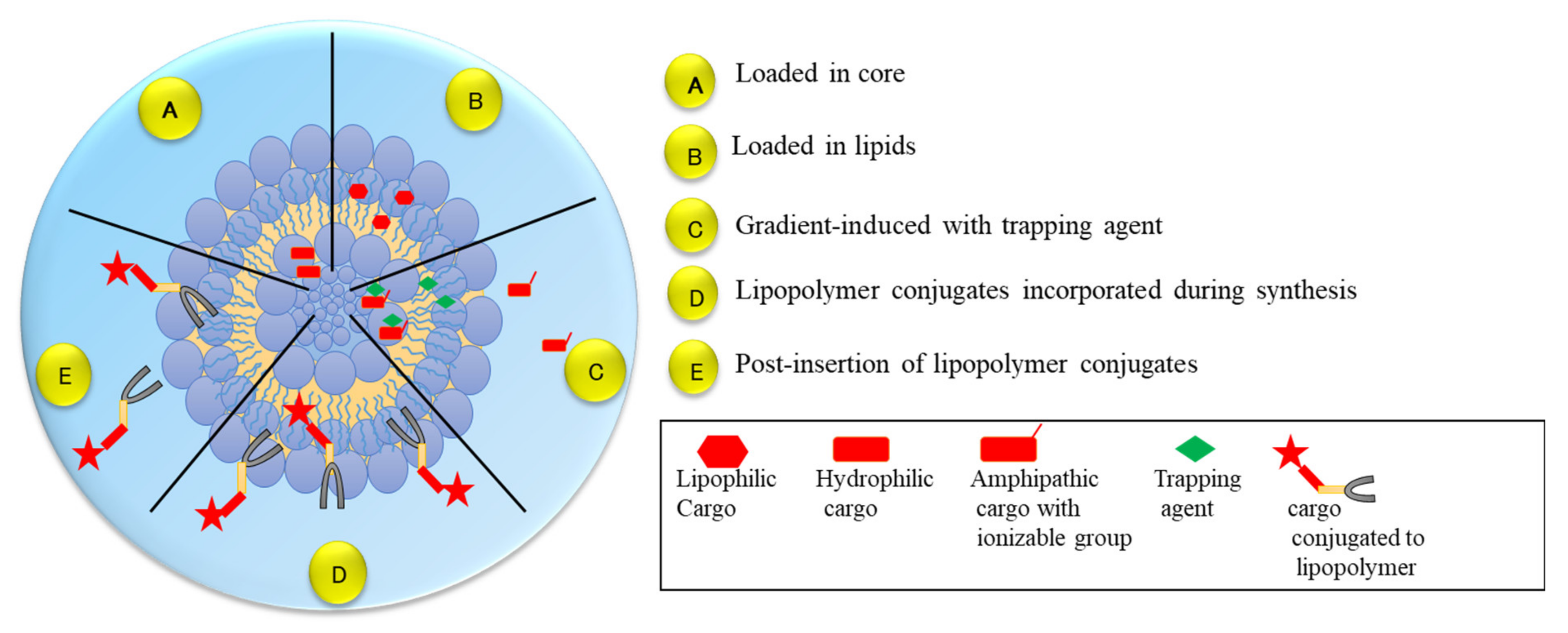 Polymers 14 01221 g003