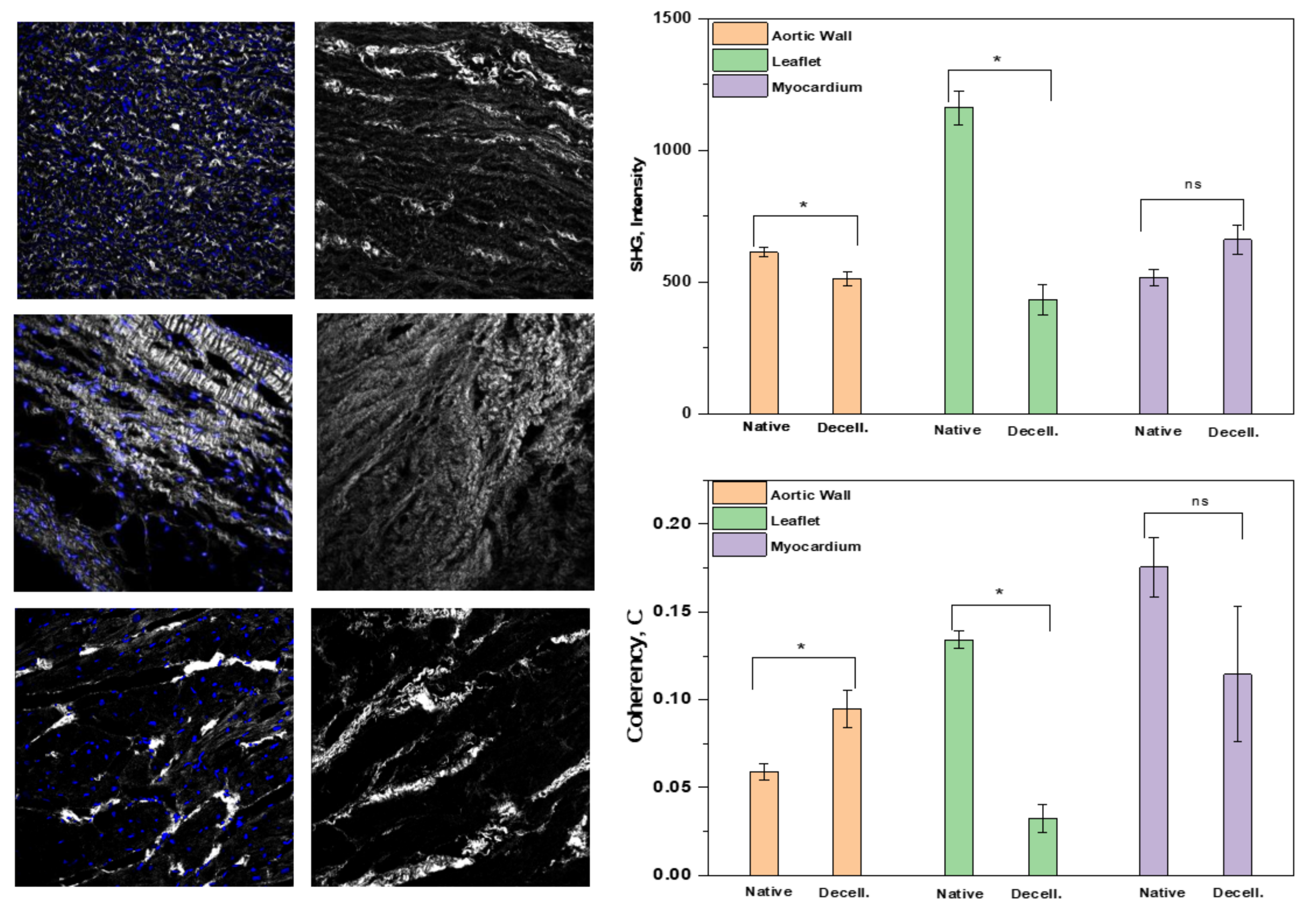 Polymers 14 01226 g006