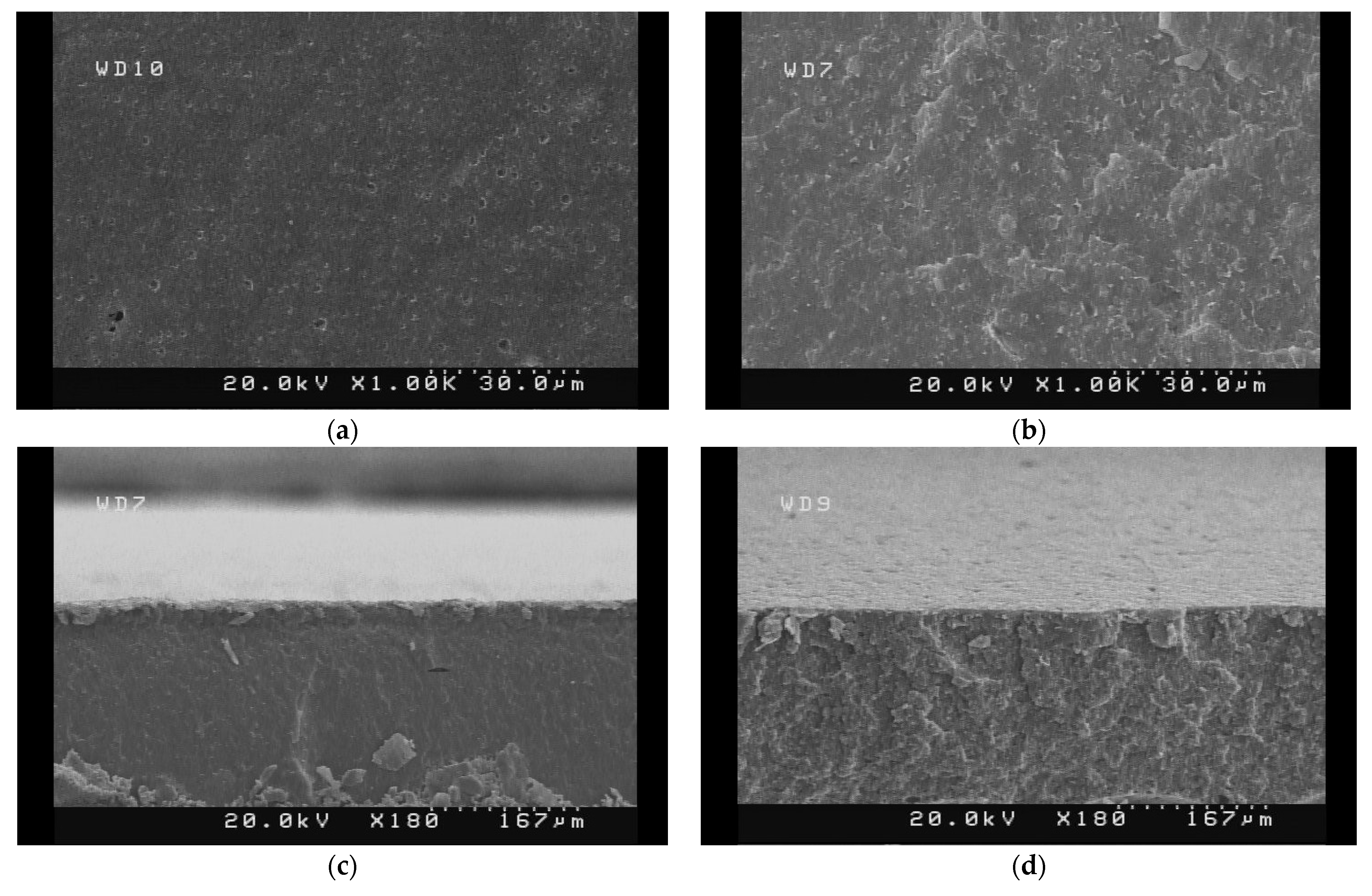 Polymers 14 01227 g005a