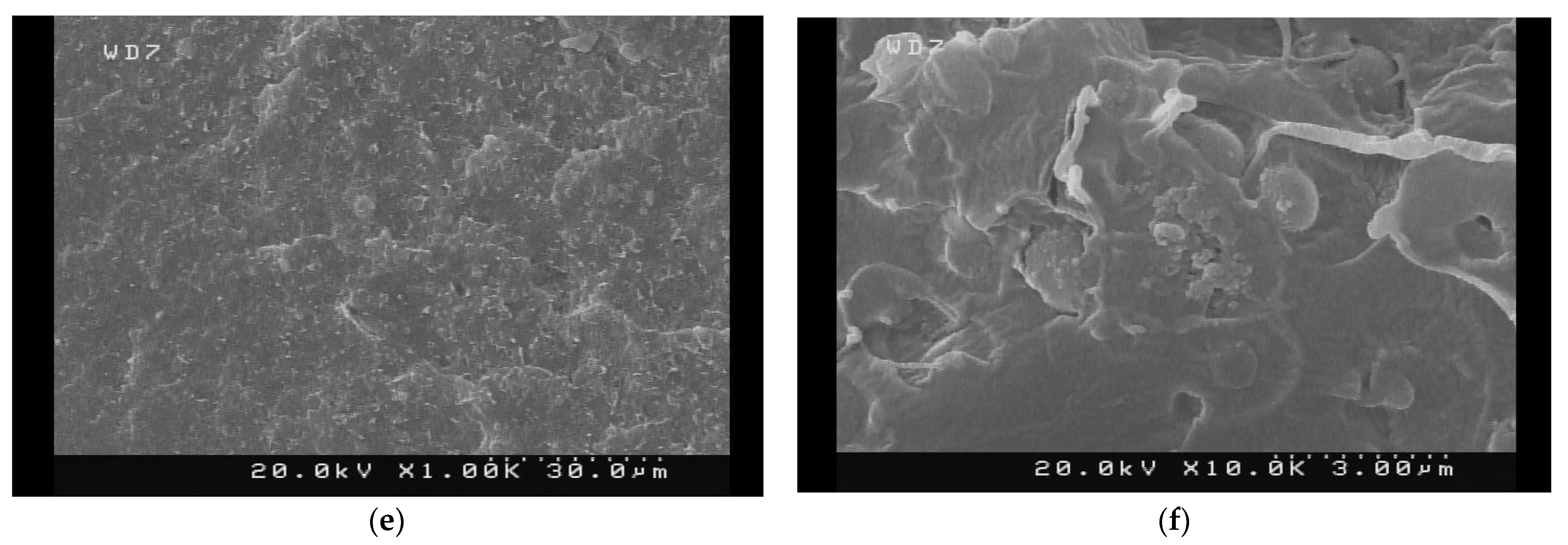 Polymers 14 01227 g005b