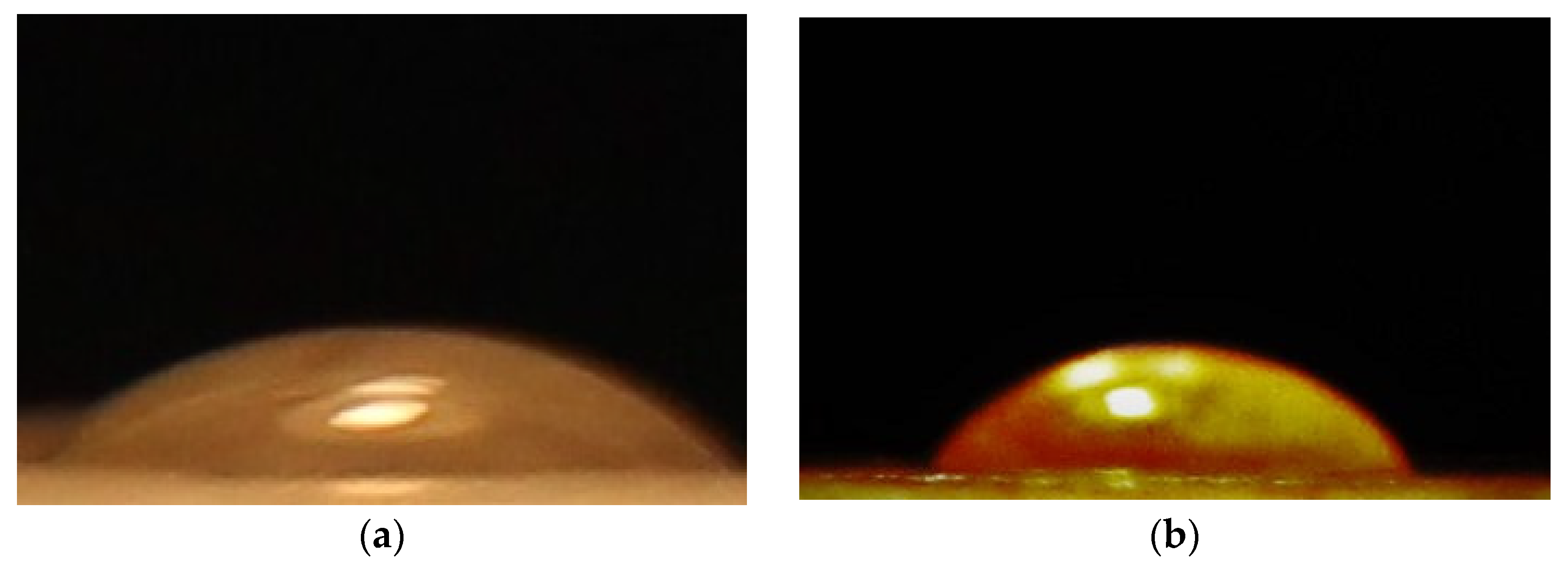 Polymers 14 01227 g006