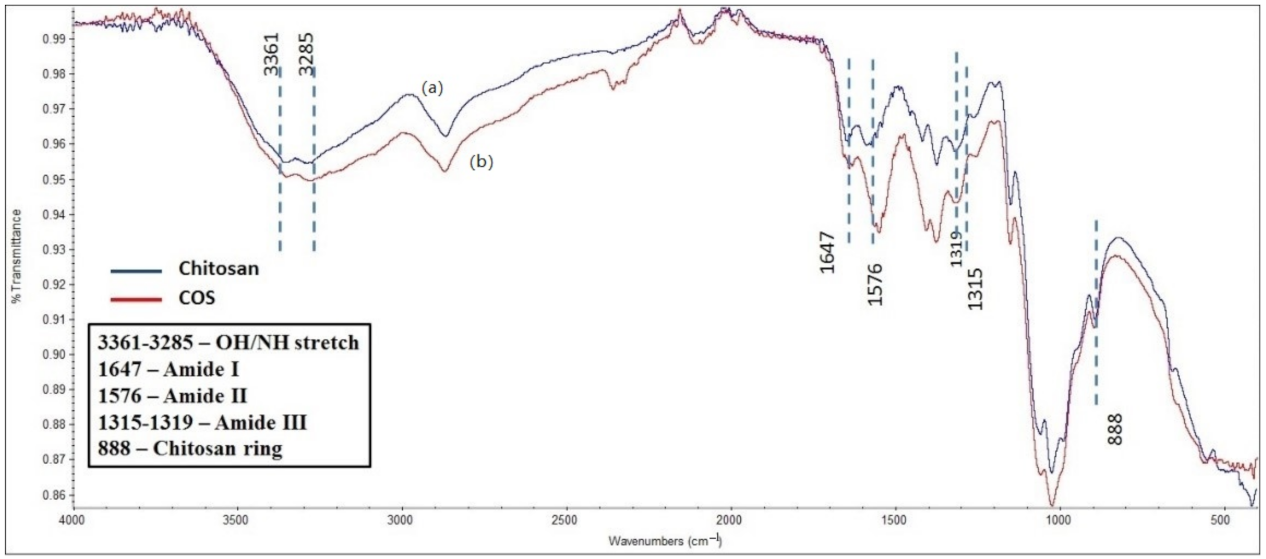 Polymers 14 01233 g001 Polymers 14 01233 g001