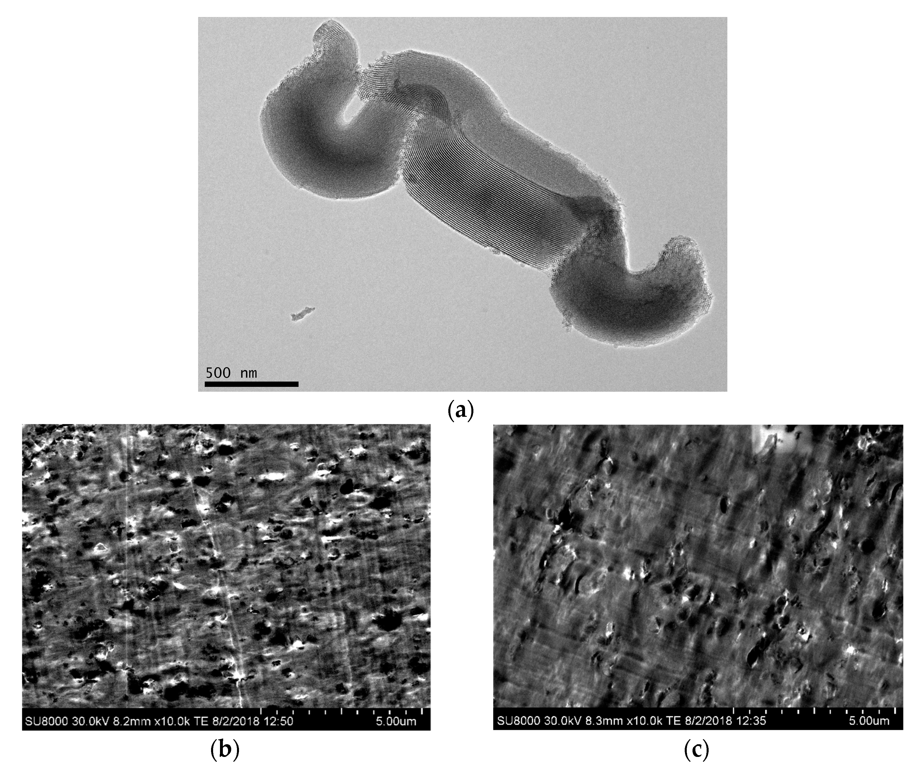 Polymers 14 01237 g001