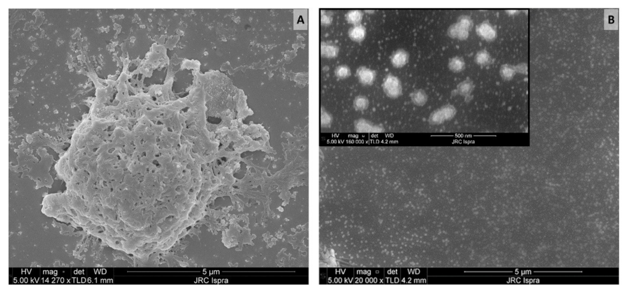 Polymers 14 01238 g002