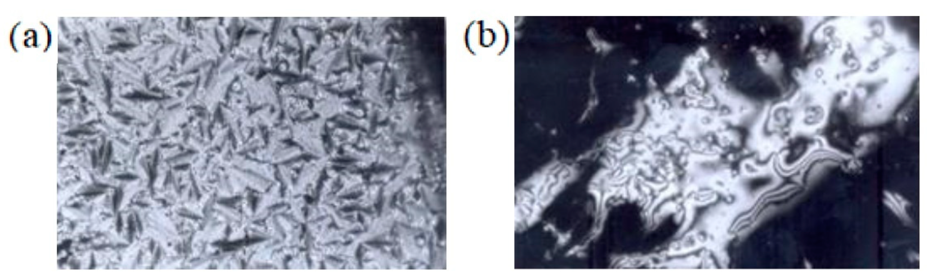 Polymers 14 01252 g003