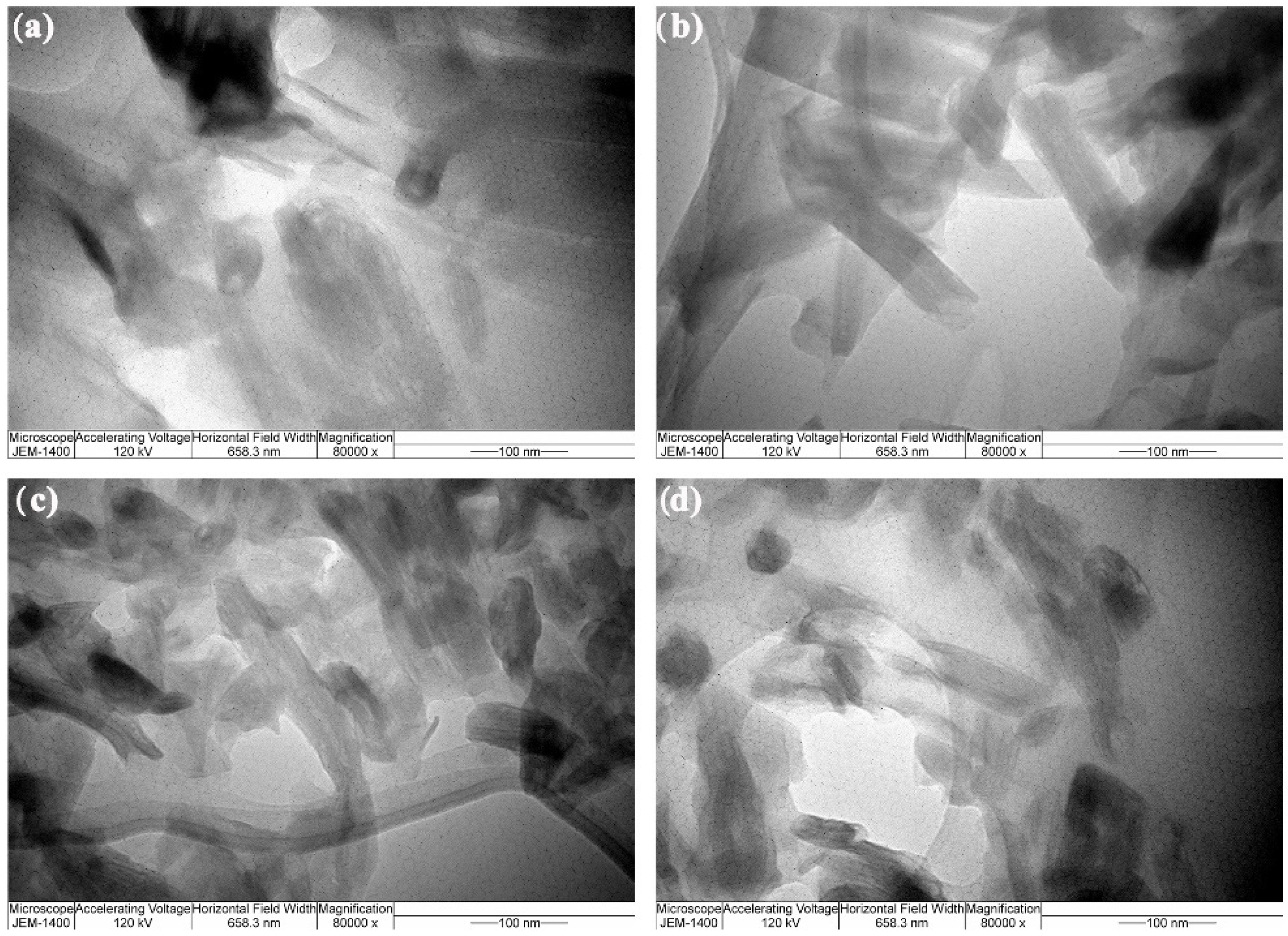Polymers 14 01255 g017