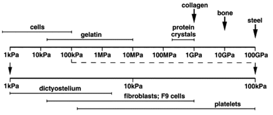 Polymers 14 01267 g003
