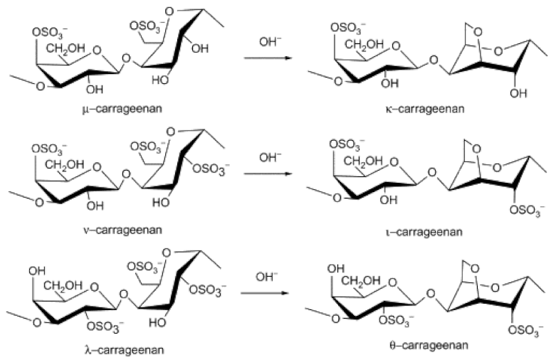 Polymers 14 01267 g008