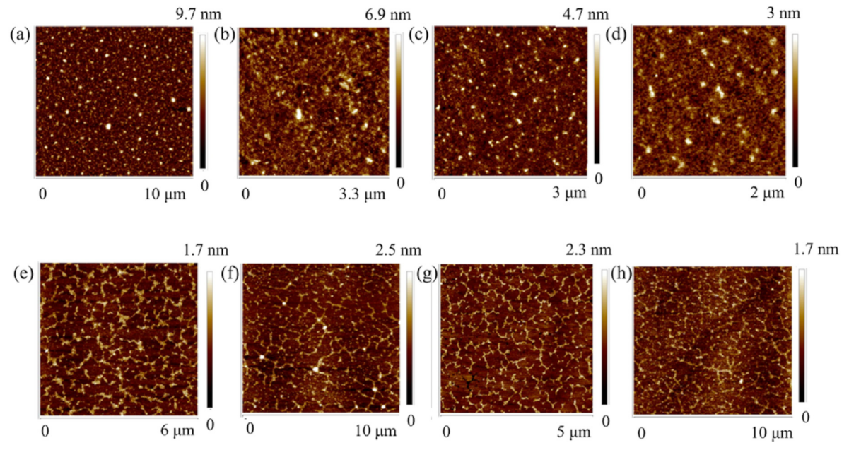Polymers 14 01267 g009