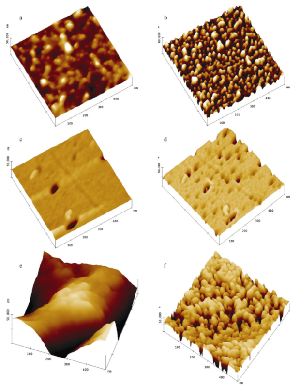 Polymers 14 01267 g010