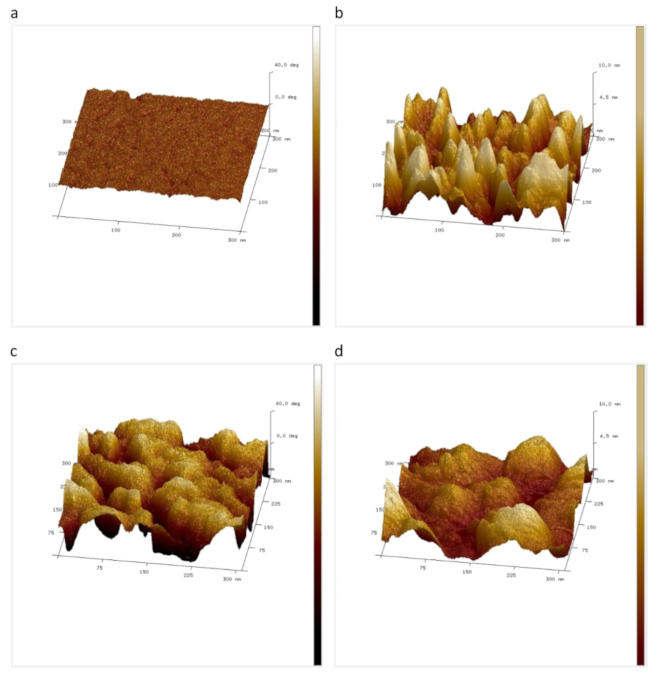 Polymers 14 01267 g011