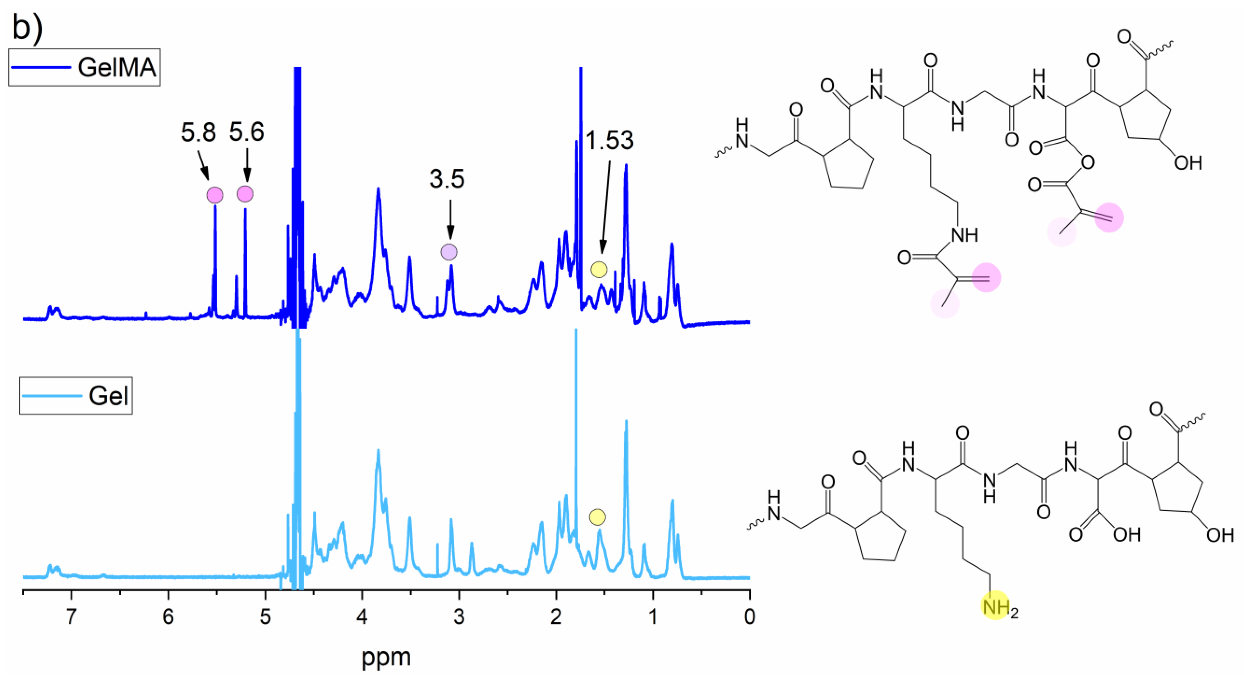 Polymers 14 01268 g002b