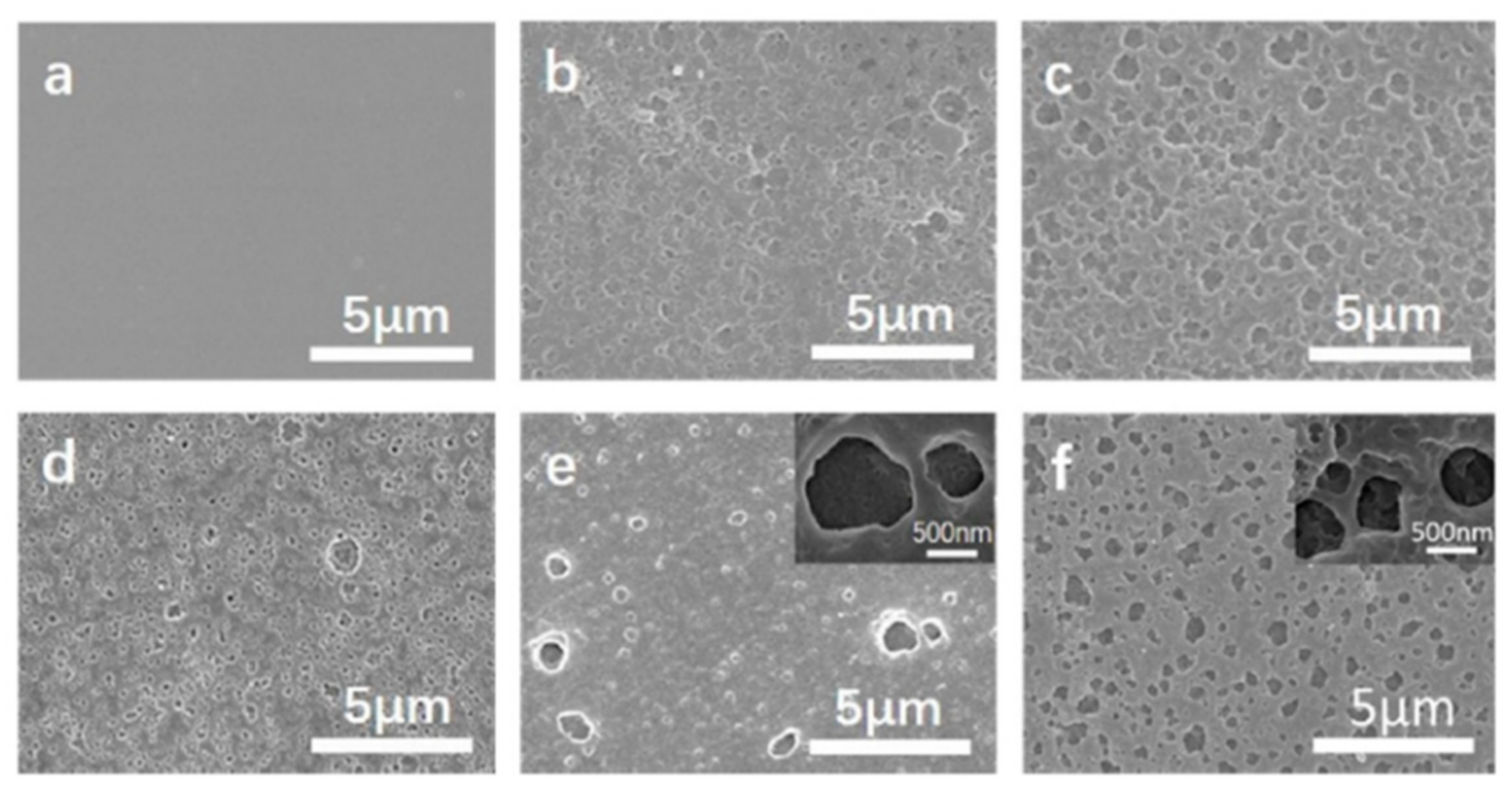 Polymers 14 01269 g031