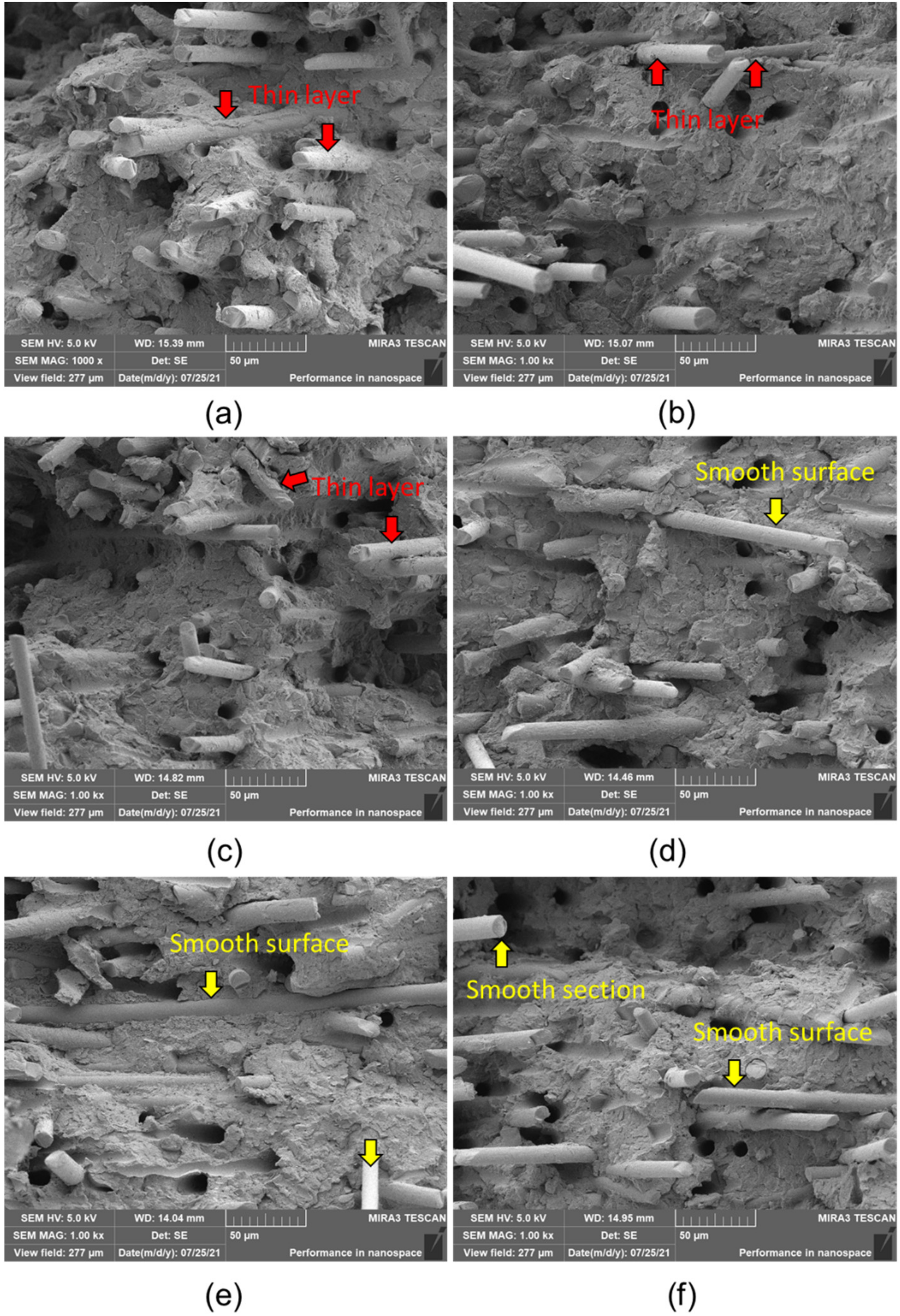 Polymers 14 01275 g004