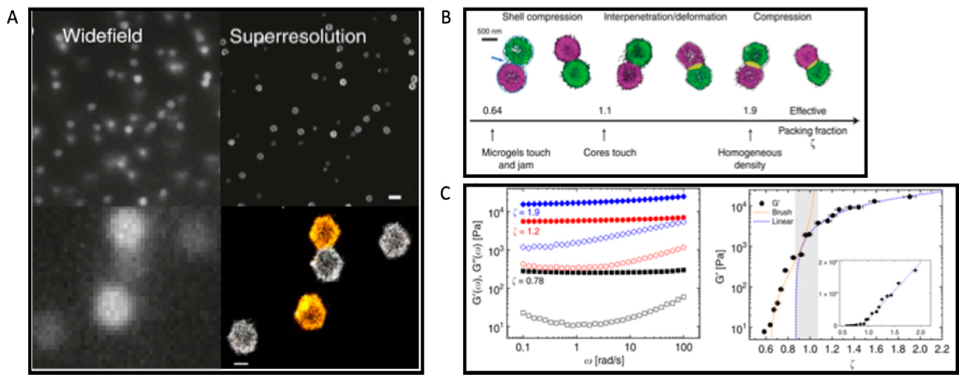 Polymers 14 01279 g006