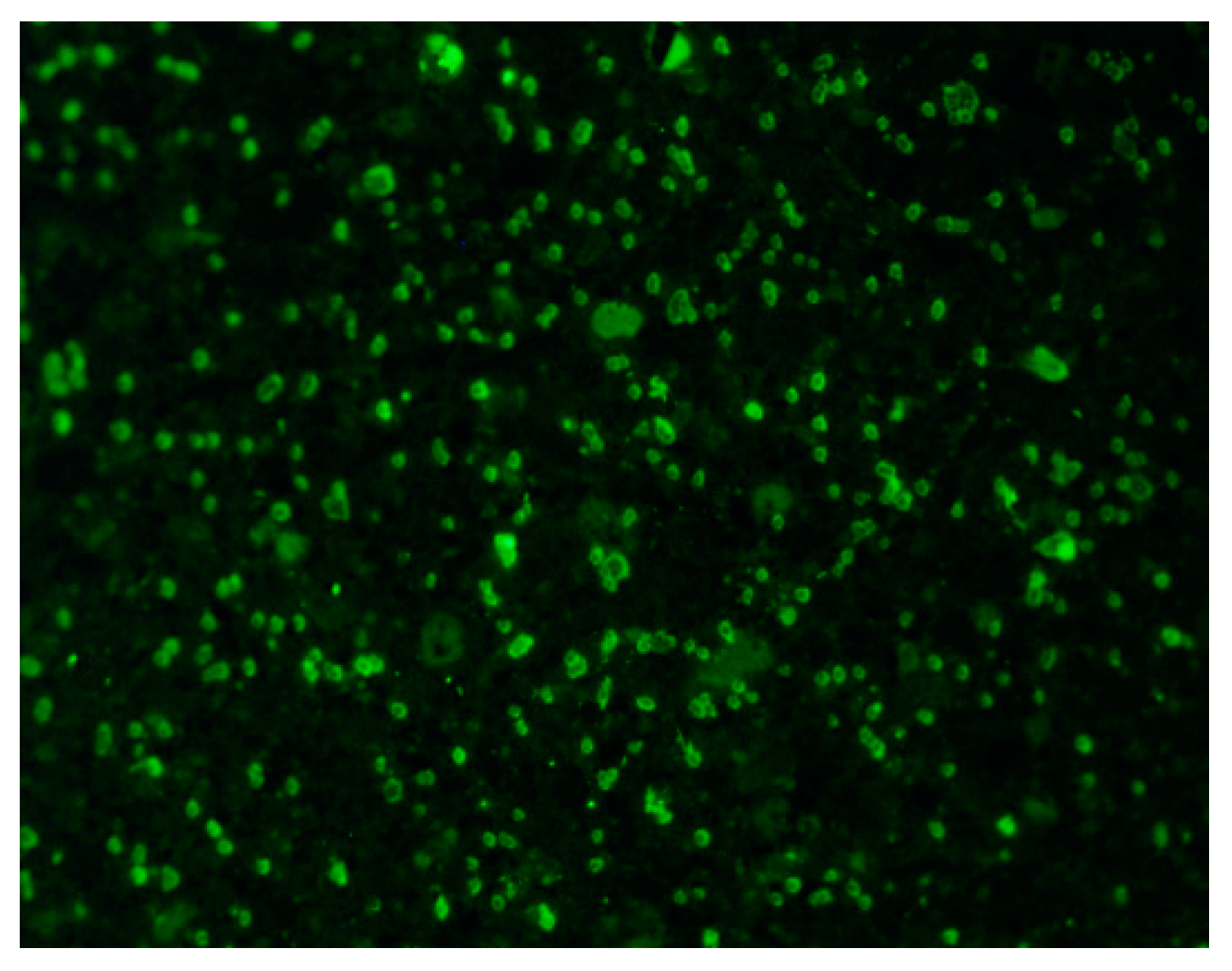 Polymers 14 01291 g003
