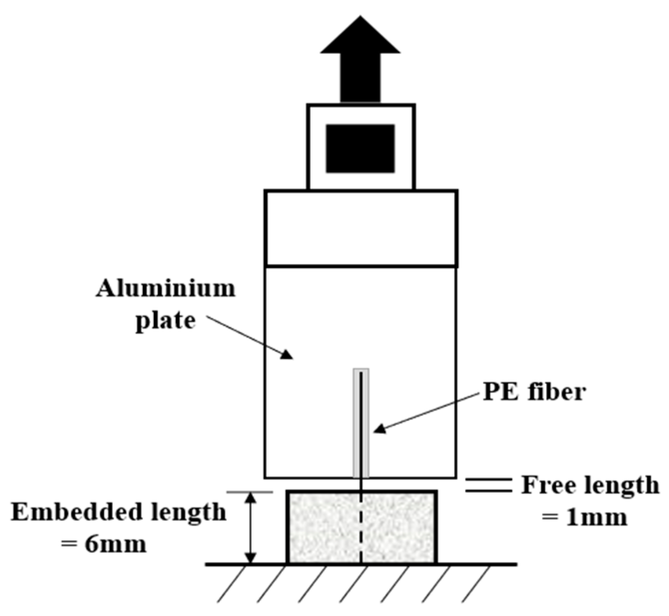 Polymers 14 01291 g004