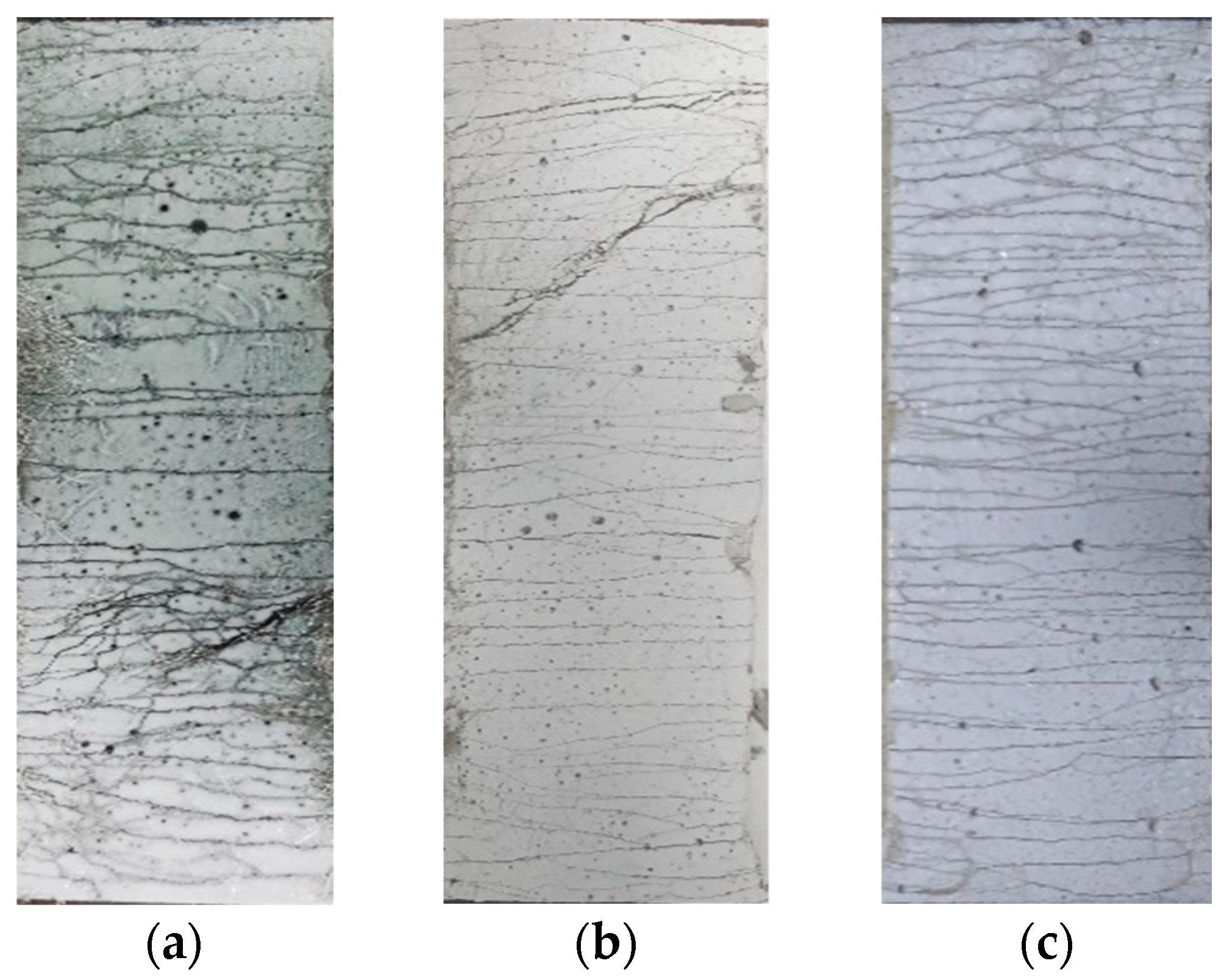Polymers 14 01291 g013