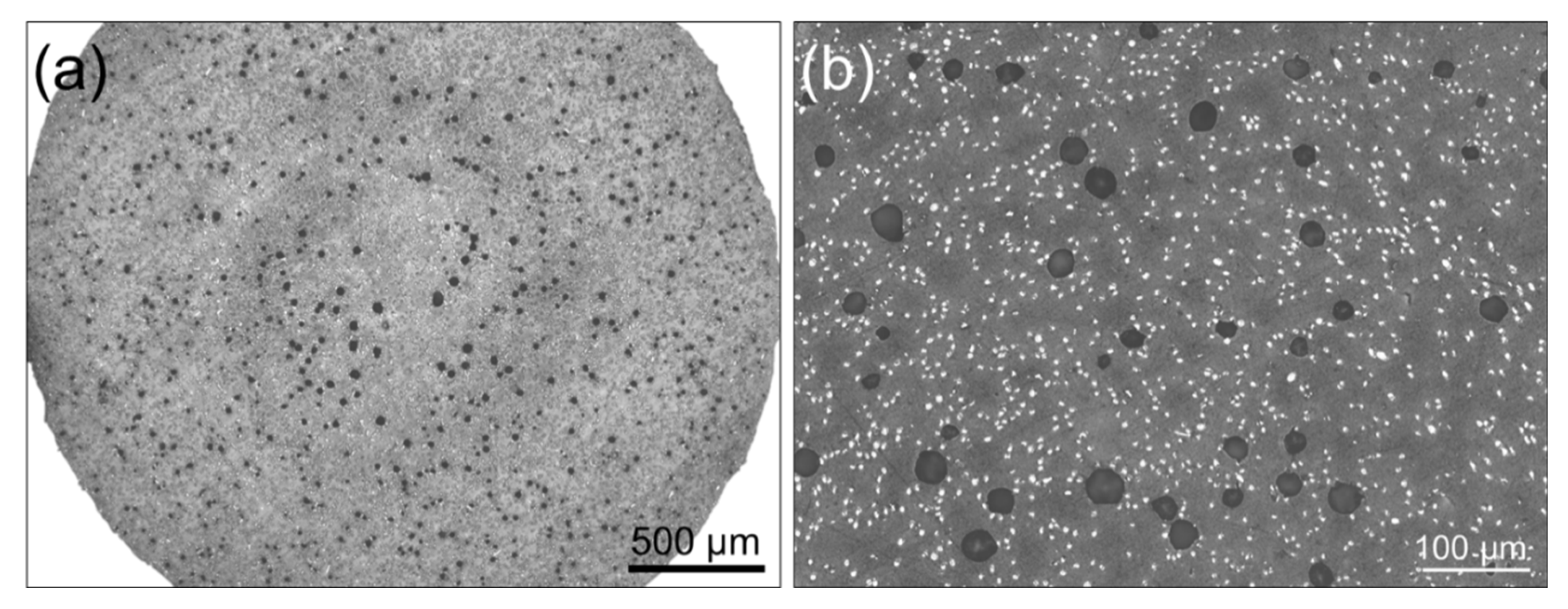 Polymers 14 01292 g015