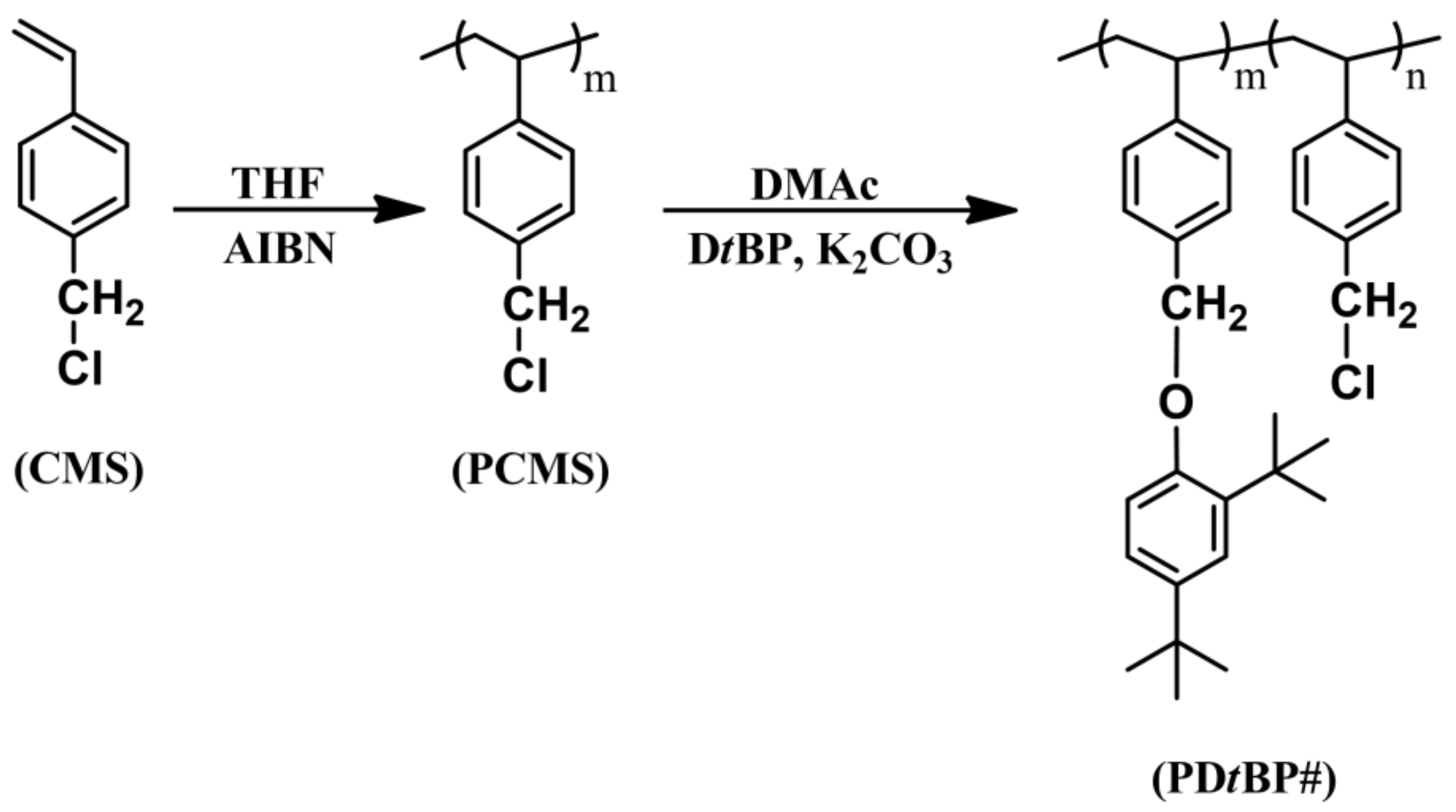 Polymers 14 01302 g001