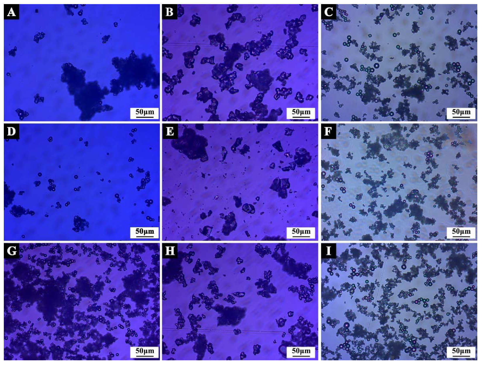 Polymers 14 01304 g004