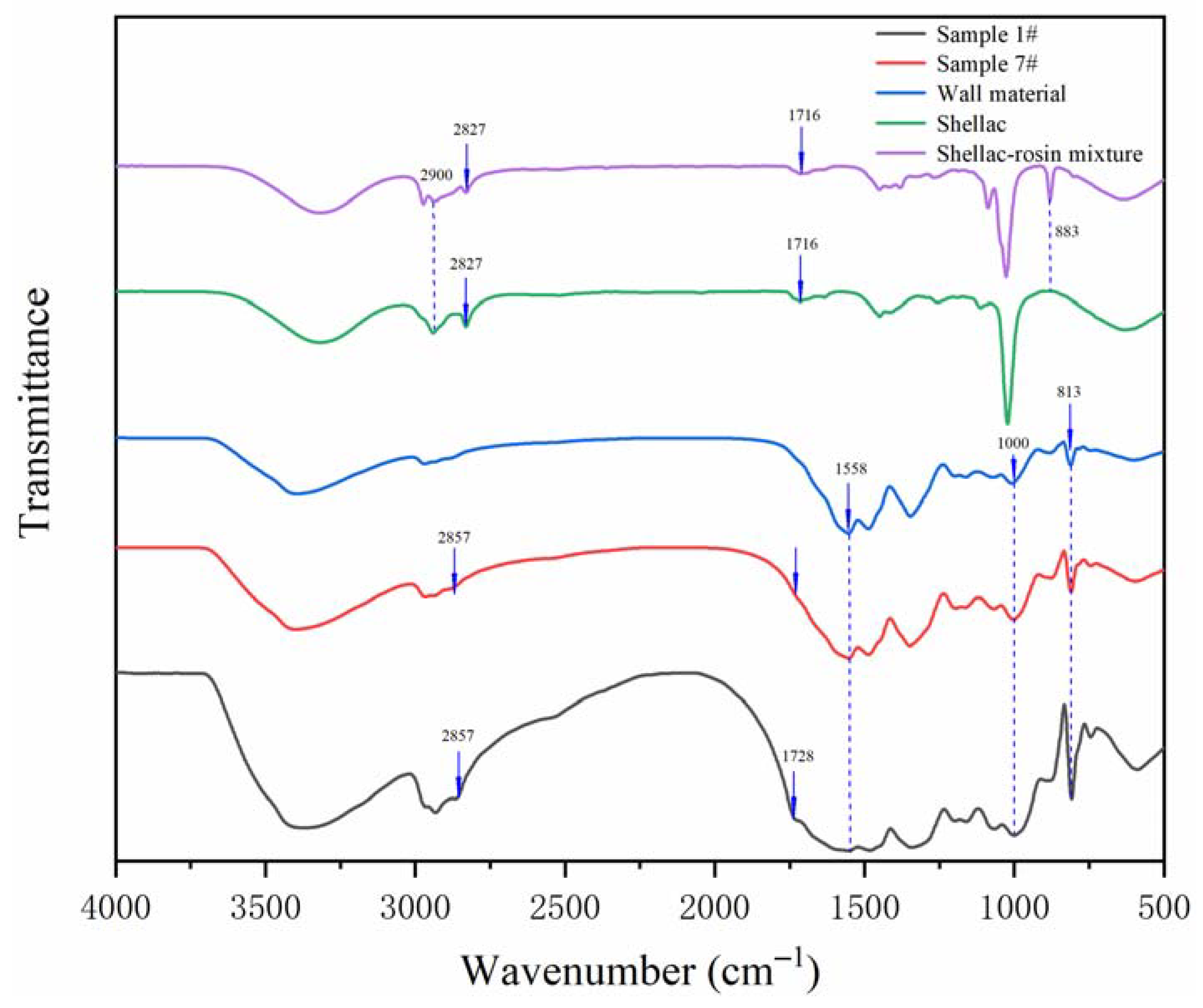 Polymers 14 01304 g005