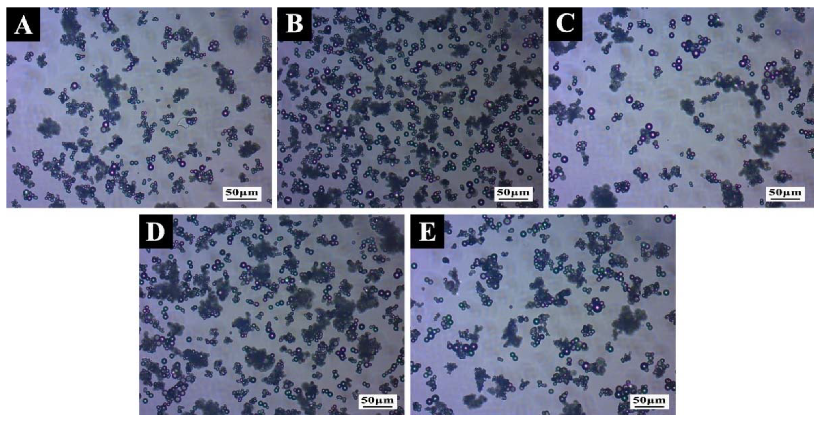 Polymers 14 01304 g006