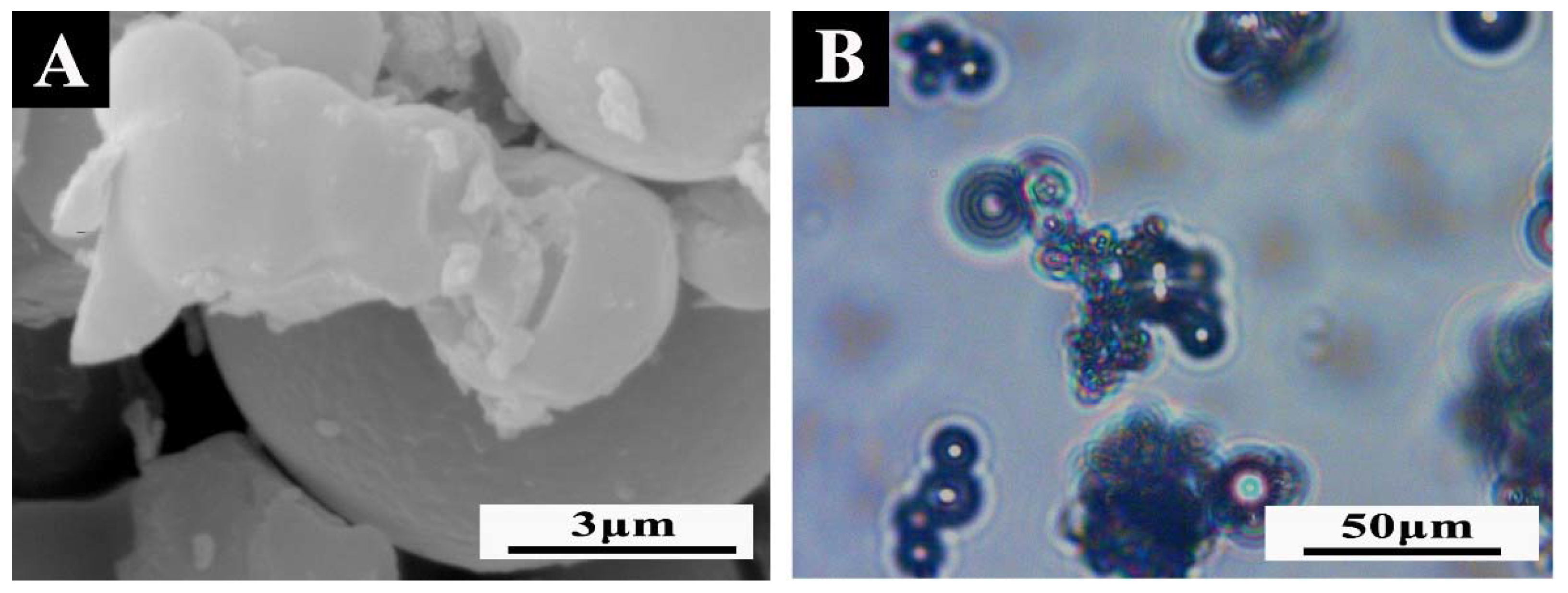 Polymers 14 01304 g007