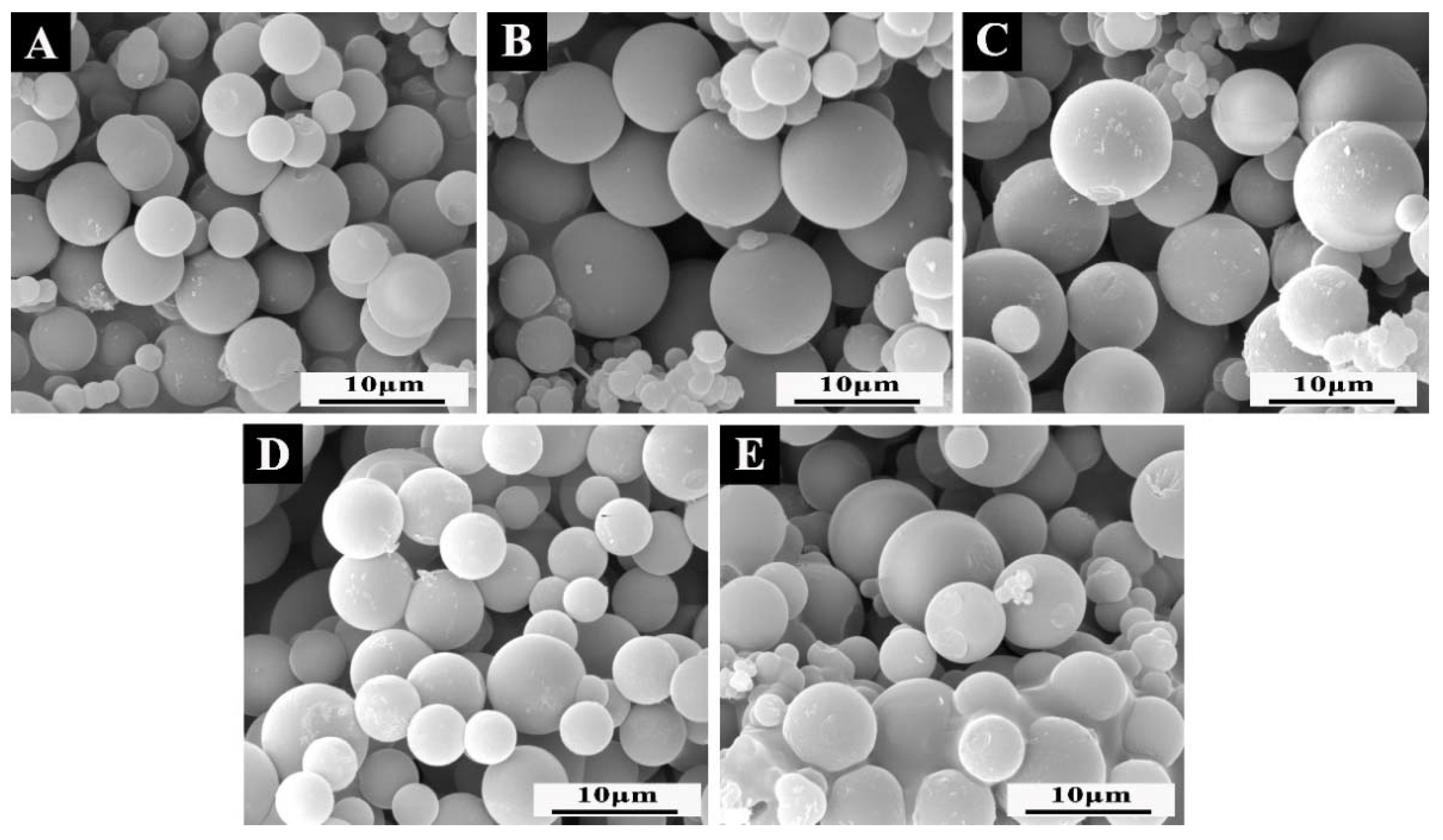 Polymers 14 01304 g008