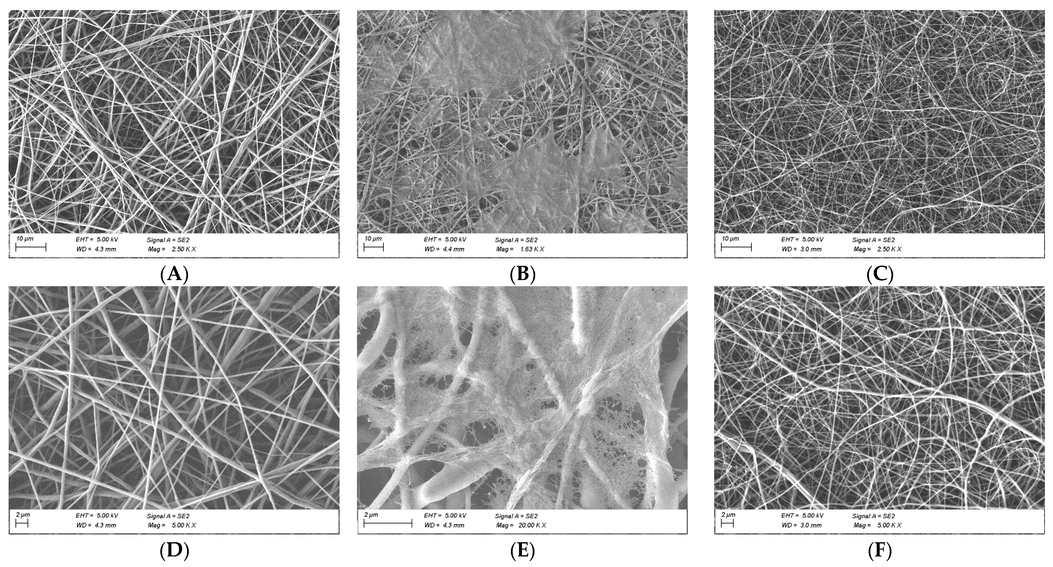 Polymers 14 01311 g002