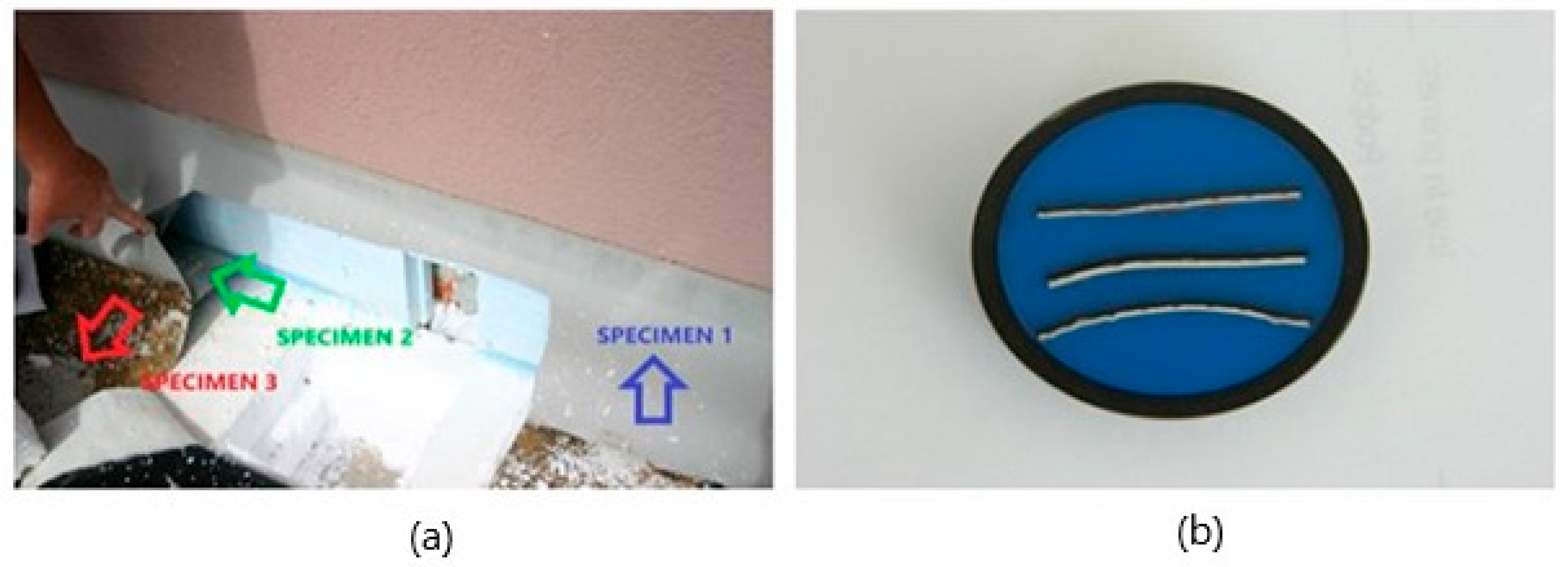 Polymers 14 01312 g002