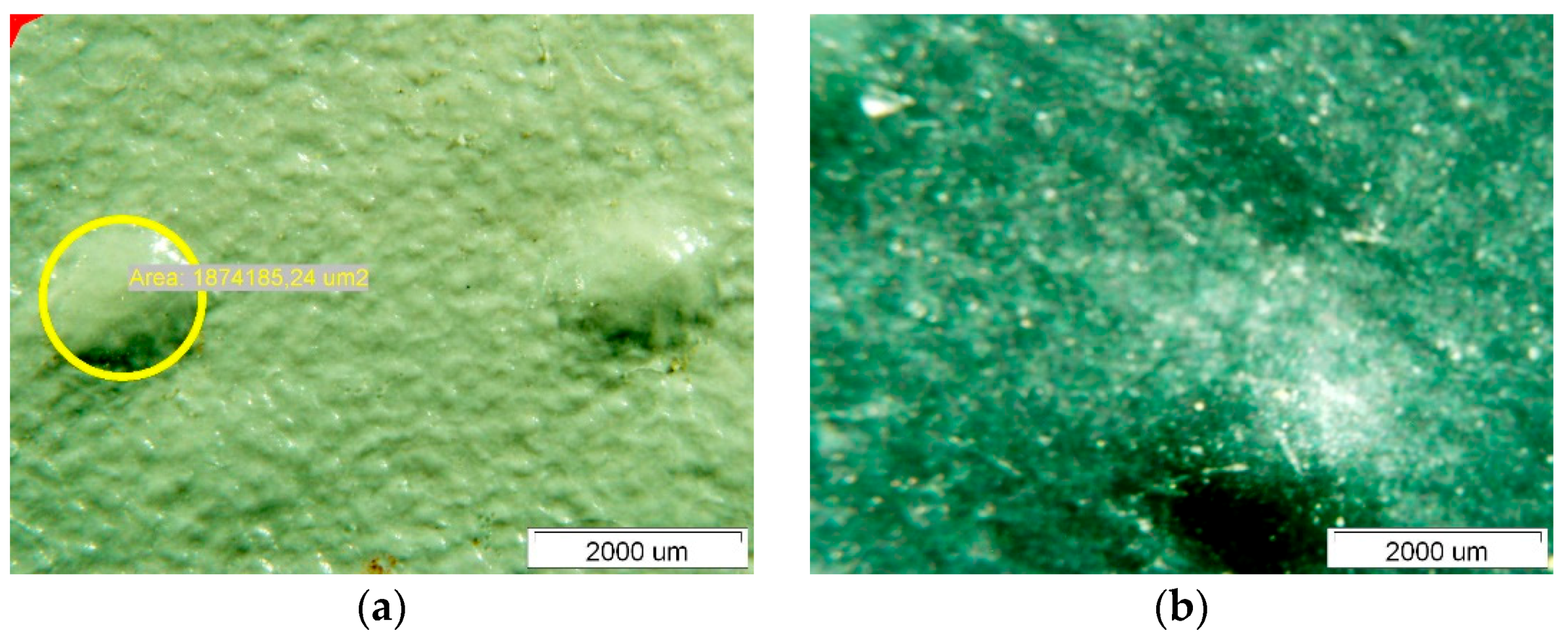 Polymers 14 01312 g007